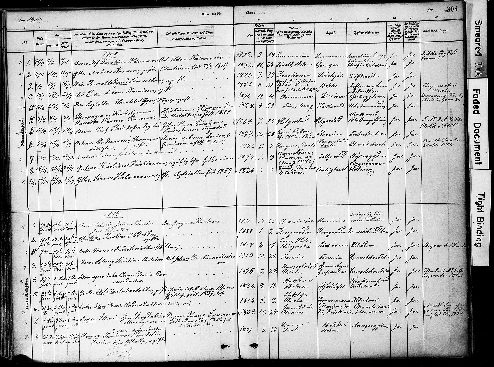 Botne kirkebøker, SAKO/A-340/F/Fa/L0007: Parish register (official) no. I 7, 1878-1910, p. 304