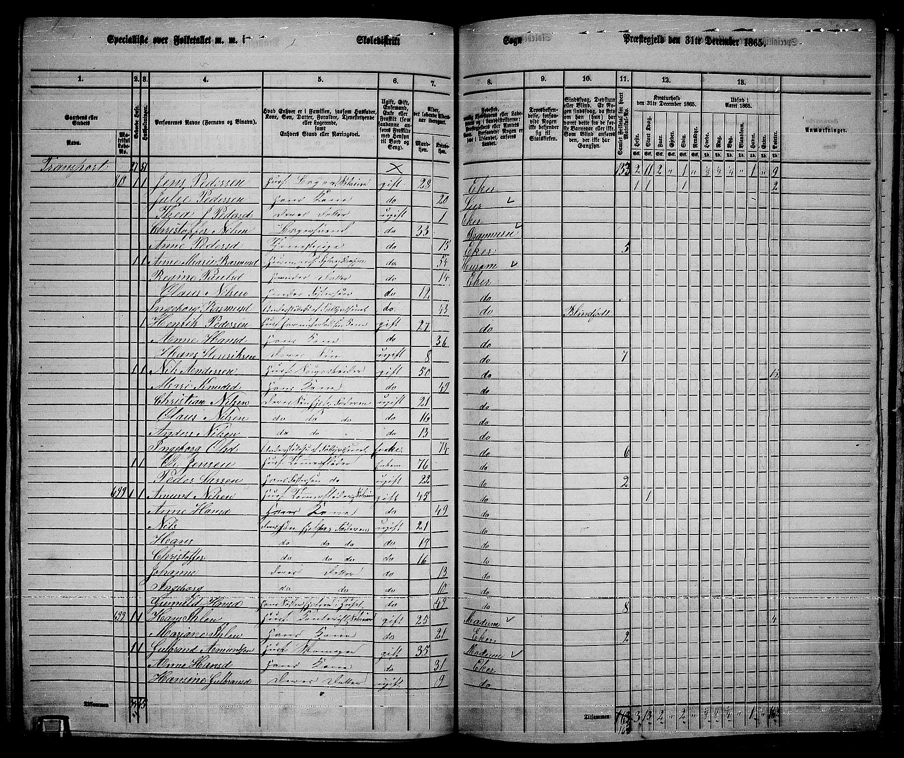RA, 1865 census for Eiker, 1865, p. 203