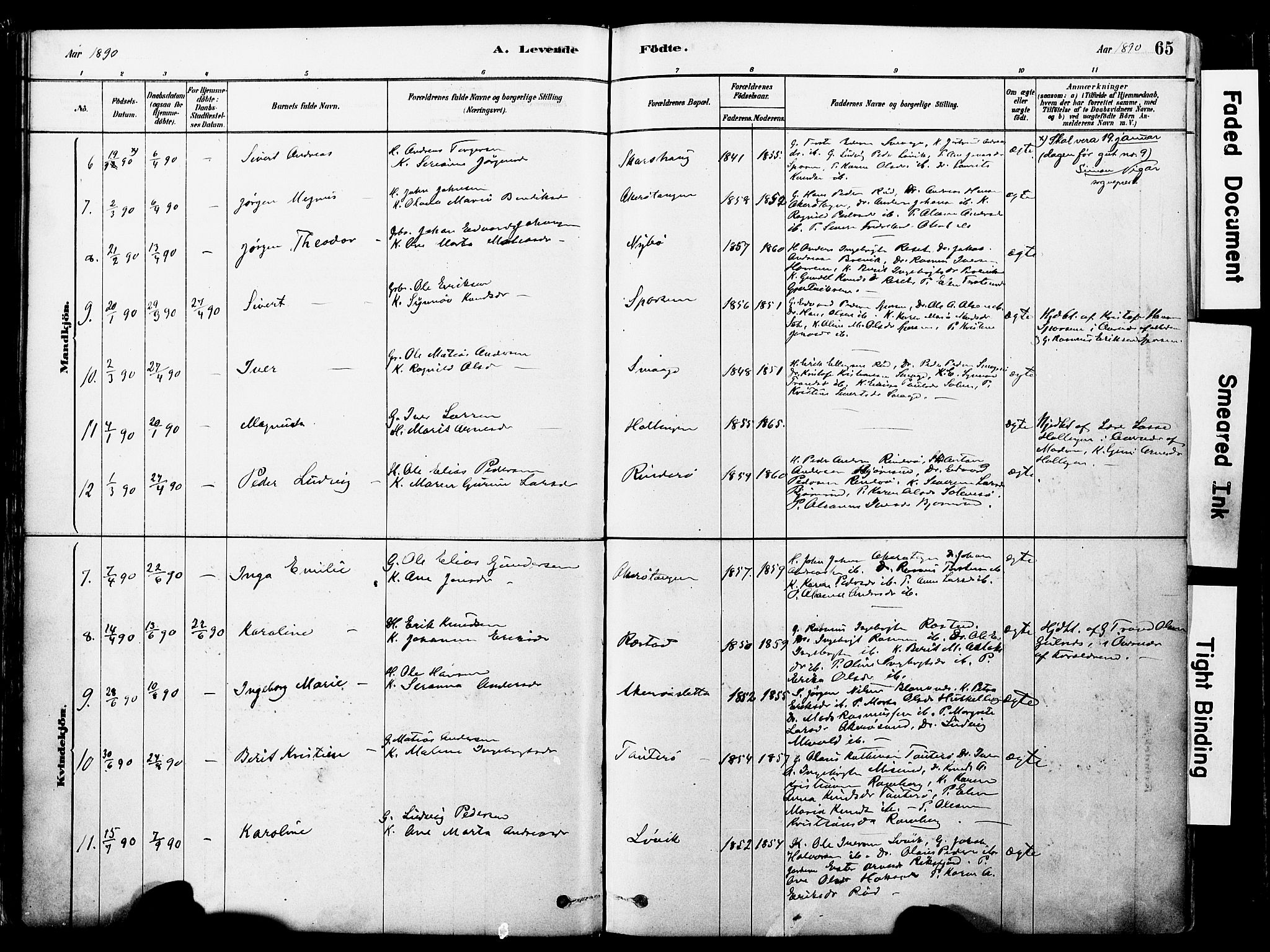 Ministerialprotokoller, klokkerbøker og fødselsregistre - Møre og Romsdal, AV/SAT-A-1454/560/L0721: Parish register (official) no. 560A05, 1878-1917, p. 65