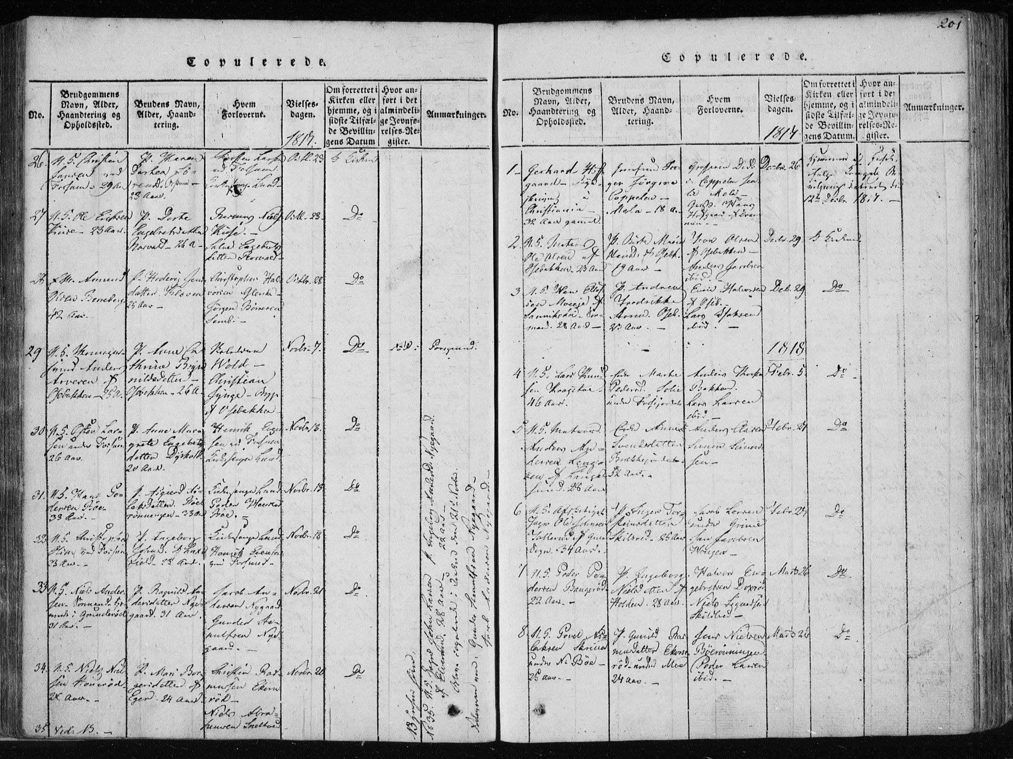 Gjerpen kirkebøker, SAKO/A-265/F/Fa/L0004: Parish register (official) no. I 4, 1814-1823, p. 201