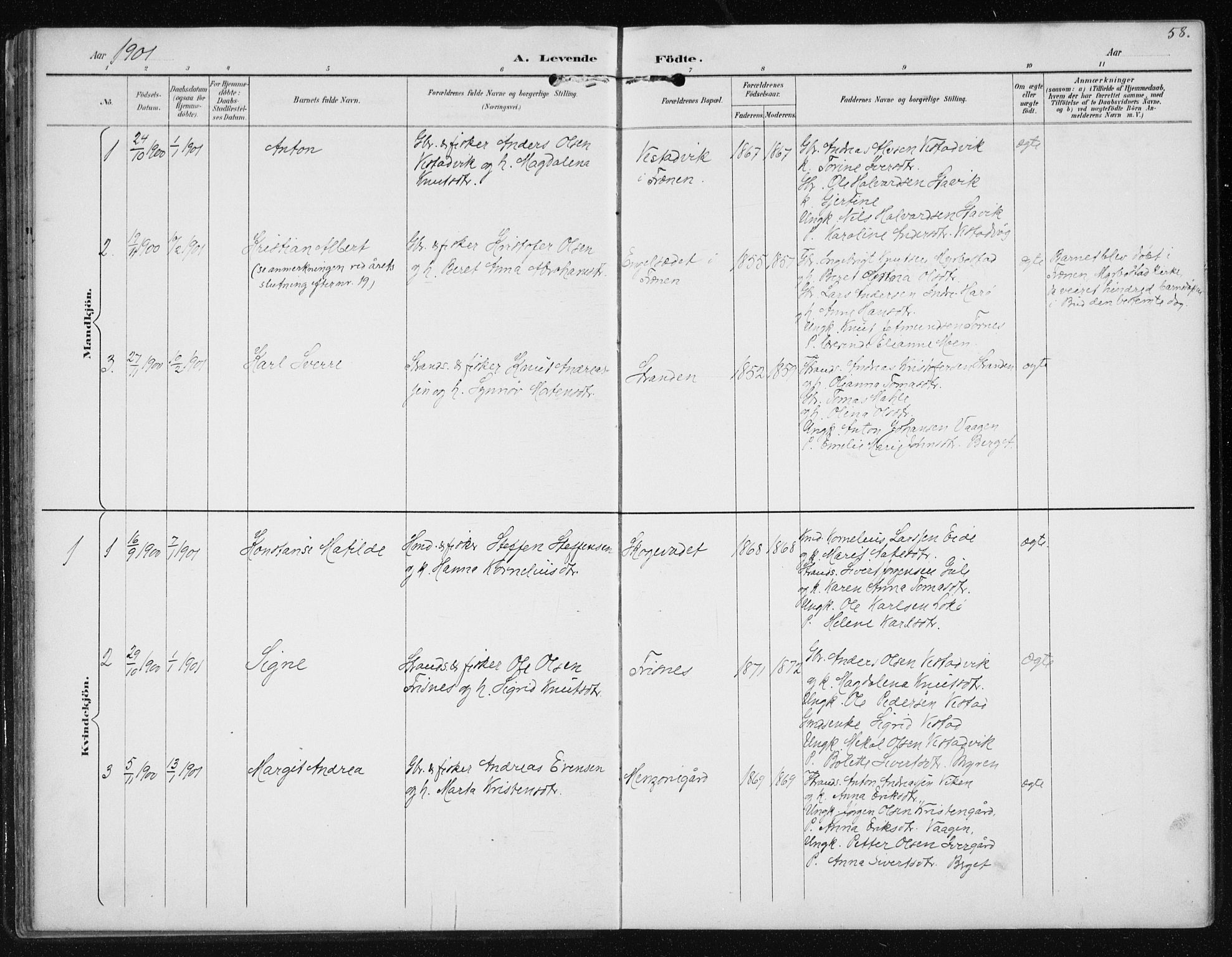 Ministerialprotokoller, klokkerbøker og fødselsregistre - Møre og Romsdal, AV/SAT-A-1454/566/L0773: Parish register (copy) no. 566C02, 1892-1909, p. 58