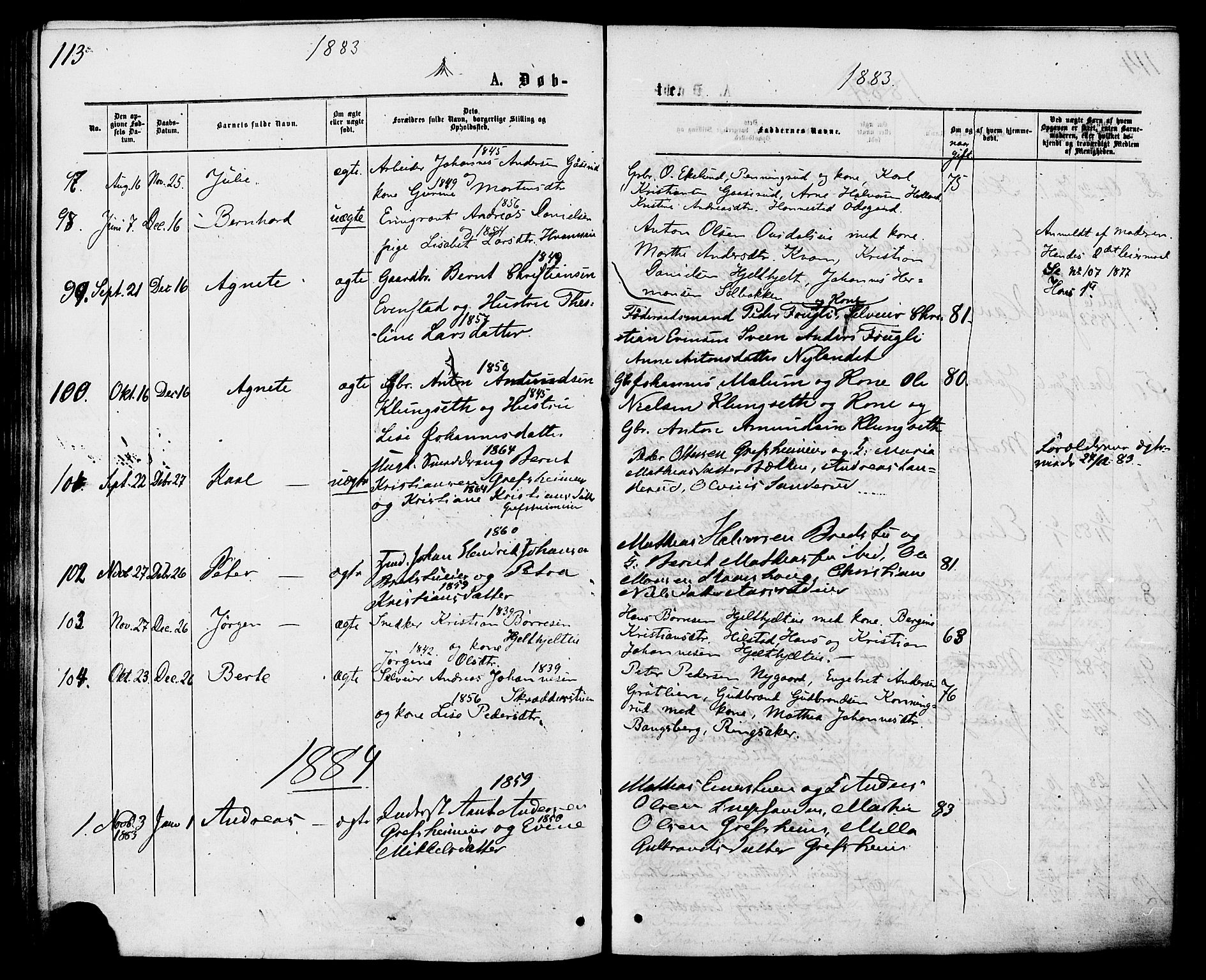 Nes prestekontor, Hedmark, AV/SAH-PREST-020/K/Ka/L0005: Parish register (official) no. 5, 1872-1886, p. 113