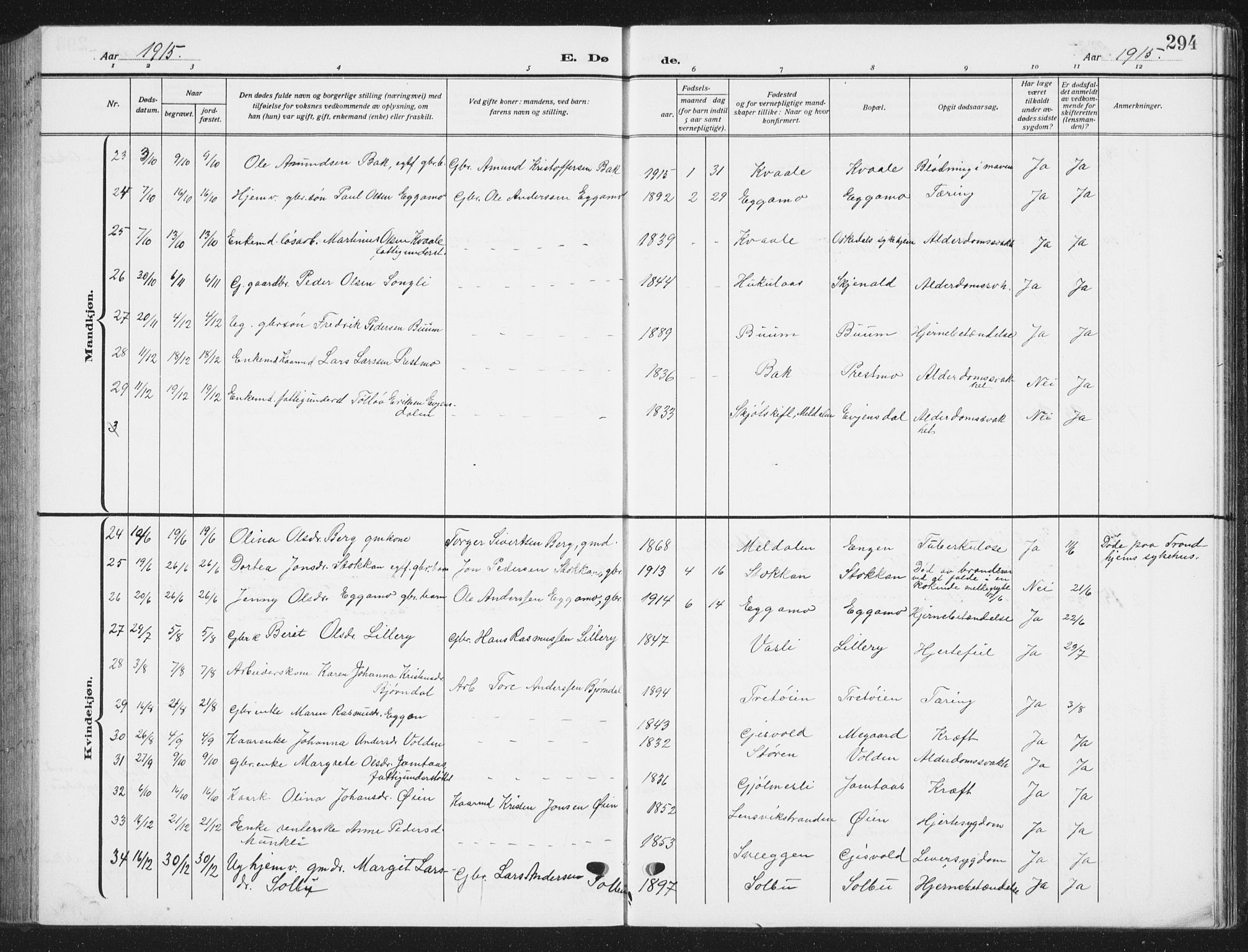 Ministerialprotokoller, klokkerbøker og fødselsregistre - Sør-Trøndelag, SAT/A-1456/668/L0820: Parish register (copy) no. 668C09, 1912-1936, p. 294