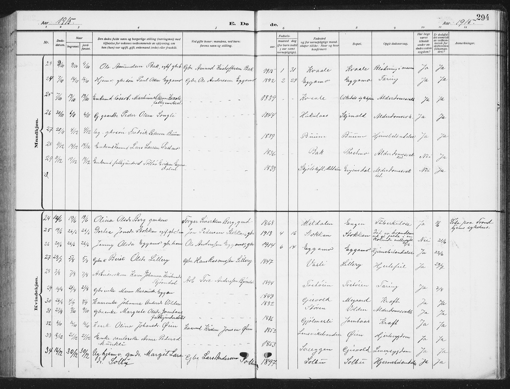 Ministerialprotokoller, klokkerbøker og fødselsregistre - Sør-Trøndelag, AV/SAT-A-1456/668/L0820: Parish register (copy) no. 668C09, 1912-1936, p. 294