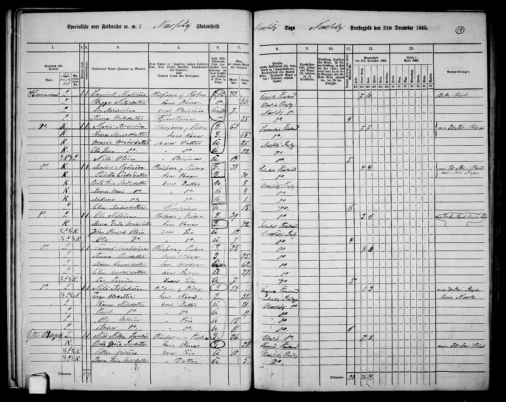 RA, 1865 census for Nesseby, 1865, p. 15