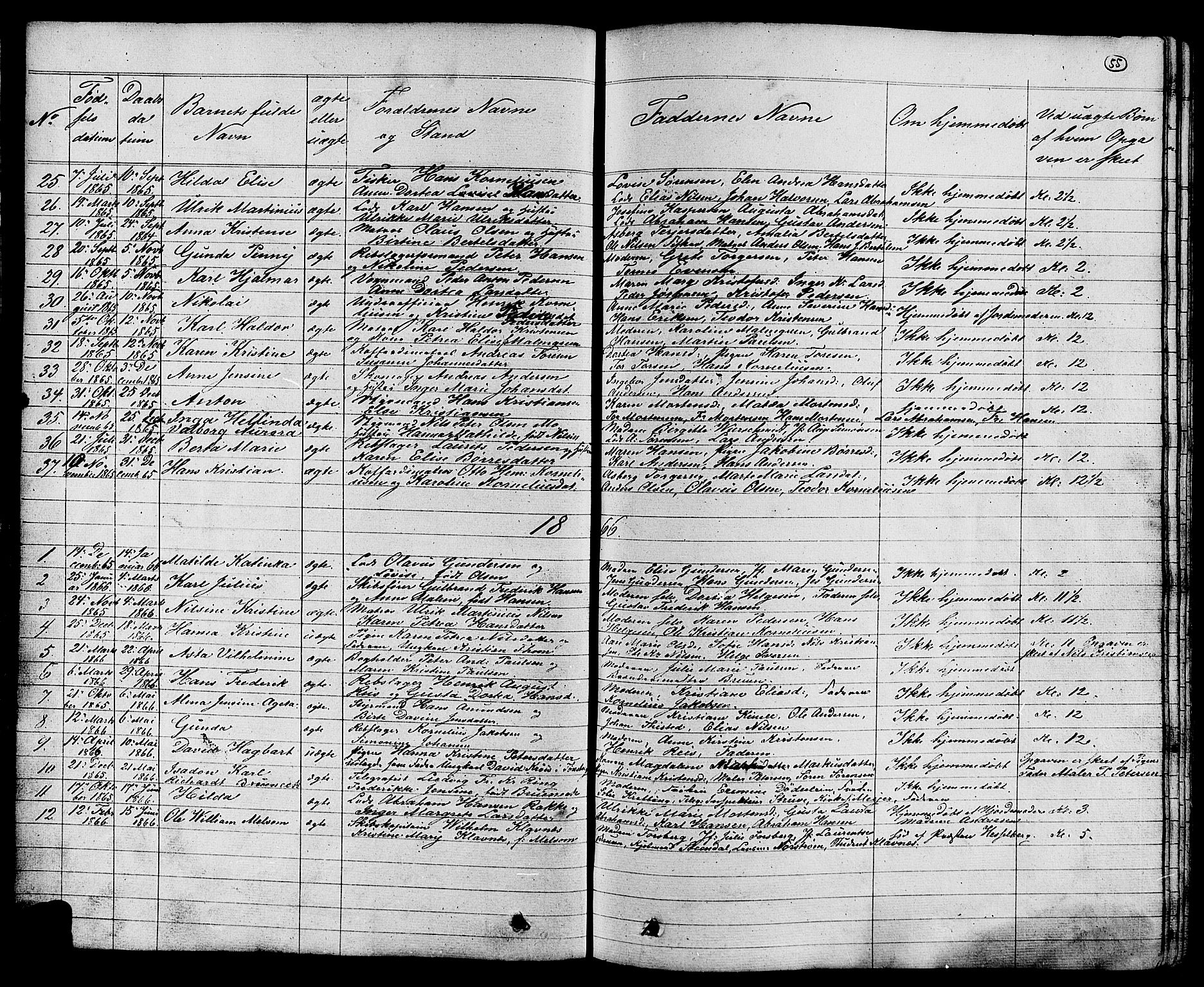 Stavern kirkebøker, AV/SAKO-A-318/G/Ga/L0002: Parish register (copy) no. 2, 1839-1909, p. 55