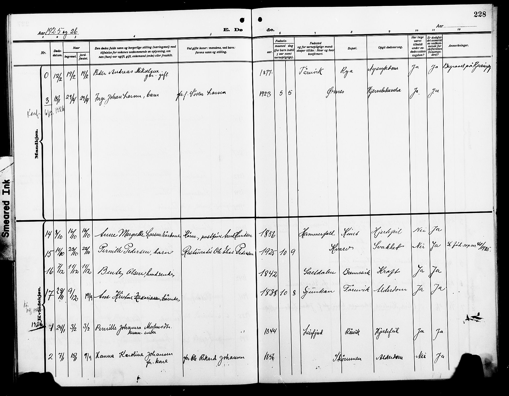 Ministerialprotokoller, klokkerbøker og fødselsregistre - Nordland, AV/SAT-A-1459/854/L0787: Parish register (copy) no. 854C03, 1913-1926, p. 228