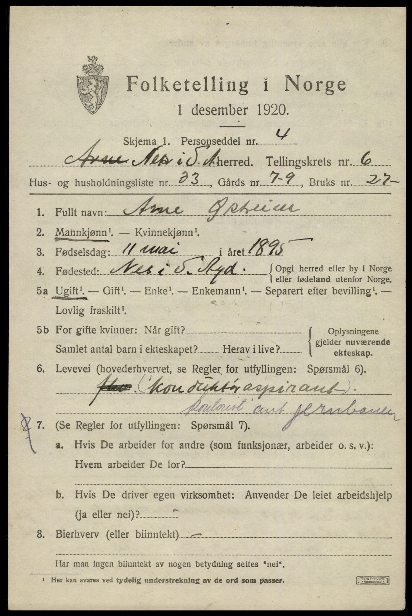 SAK, 1920 census for Nes (V-A), 1920, p. 3316