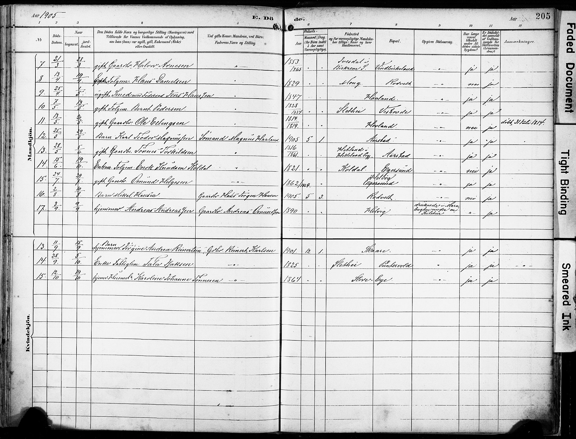 Eigersund sokneprestkontor, SAST/A-101807/S08/L0018: Parish register (official) no. A 17, 1892-1905, p. 205