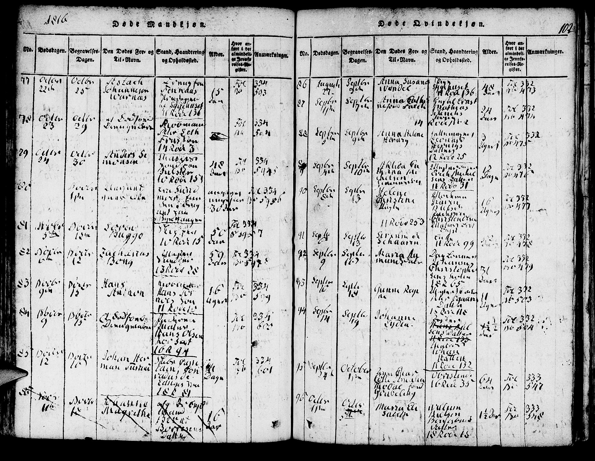 Domkirken sokneprestembete, SAB/A-74801/H/Hab/L0001: Parish register (copy) no. A 1, 1816-1821, p. 102