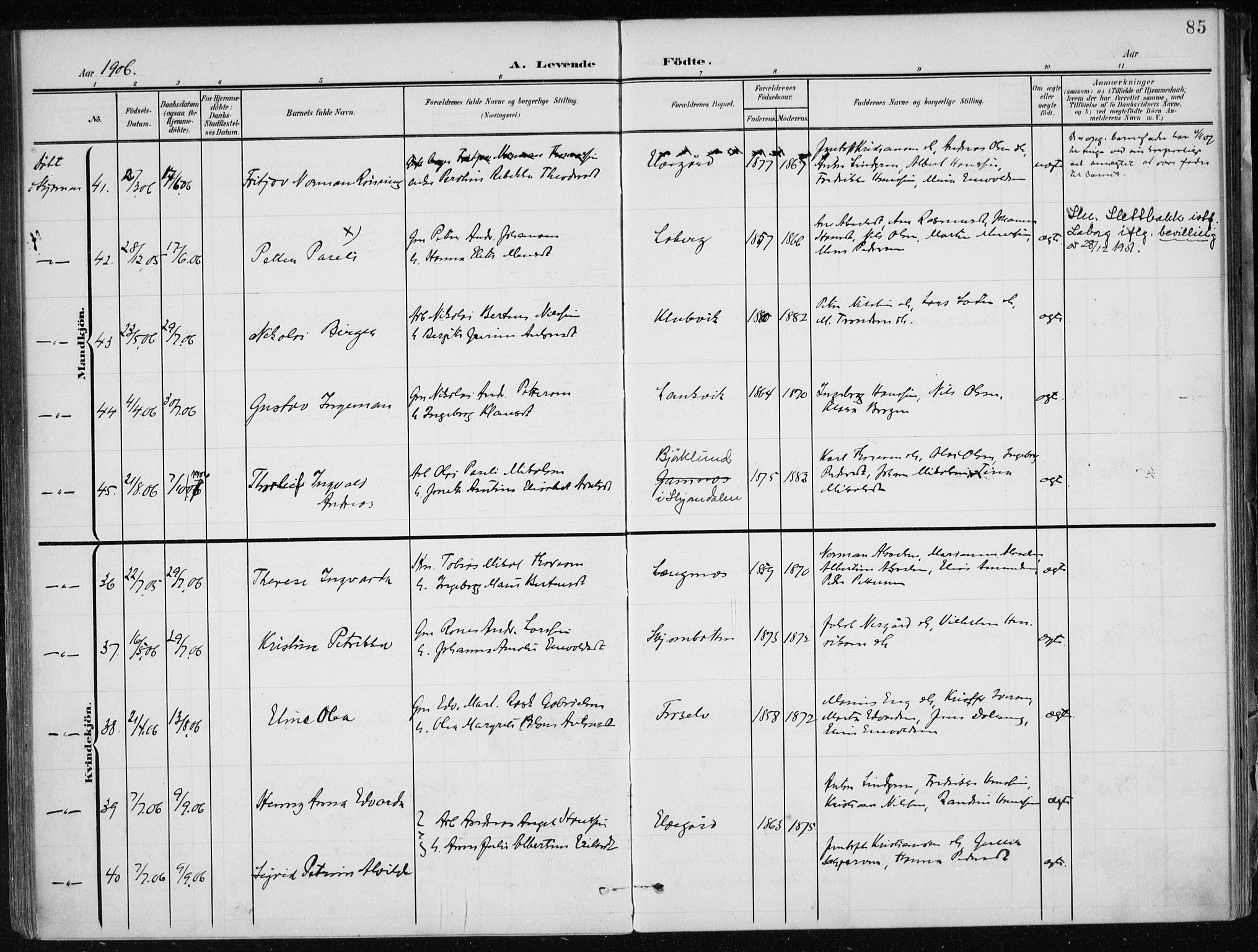 Ministerialprotokoller, klokkerbøker og fødselsregistre - Nordland, SAT/A-1459/866/L0941: Parish register (official) no. 866A04, 1901-1917, p. 85