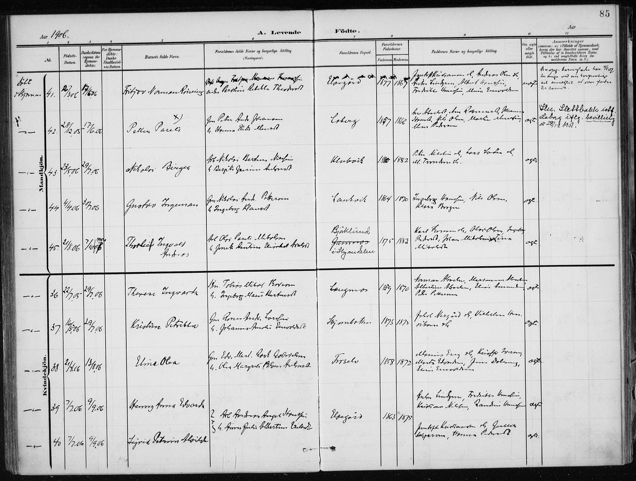 Ministerialprotokoller, klokkerbøker og fødselsregistre - Nordland, AV/SAT-A-1459/866/L0941: Parish register (official) no. 866A04, 1901-1917, p. 85