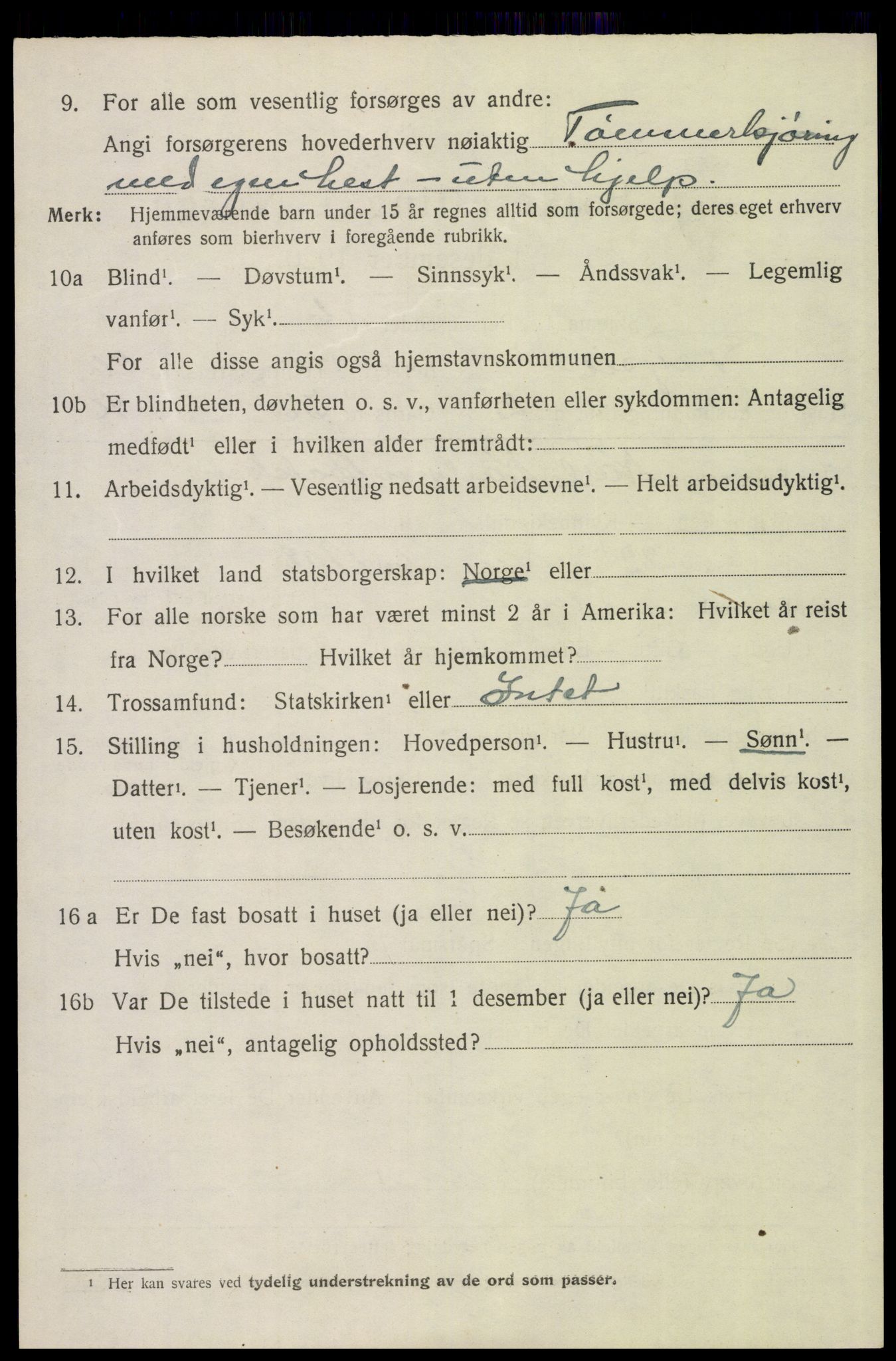 SAH, 1920 census for Trysil, 1920, p. 16128