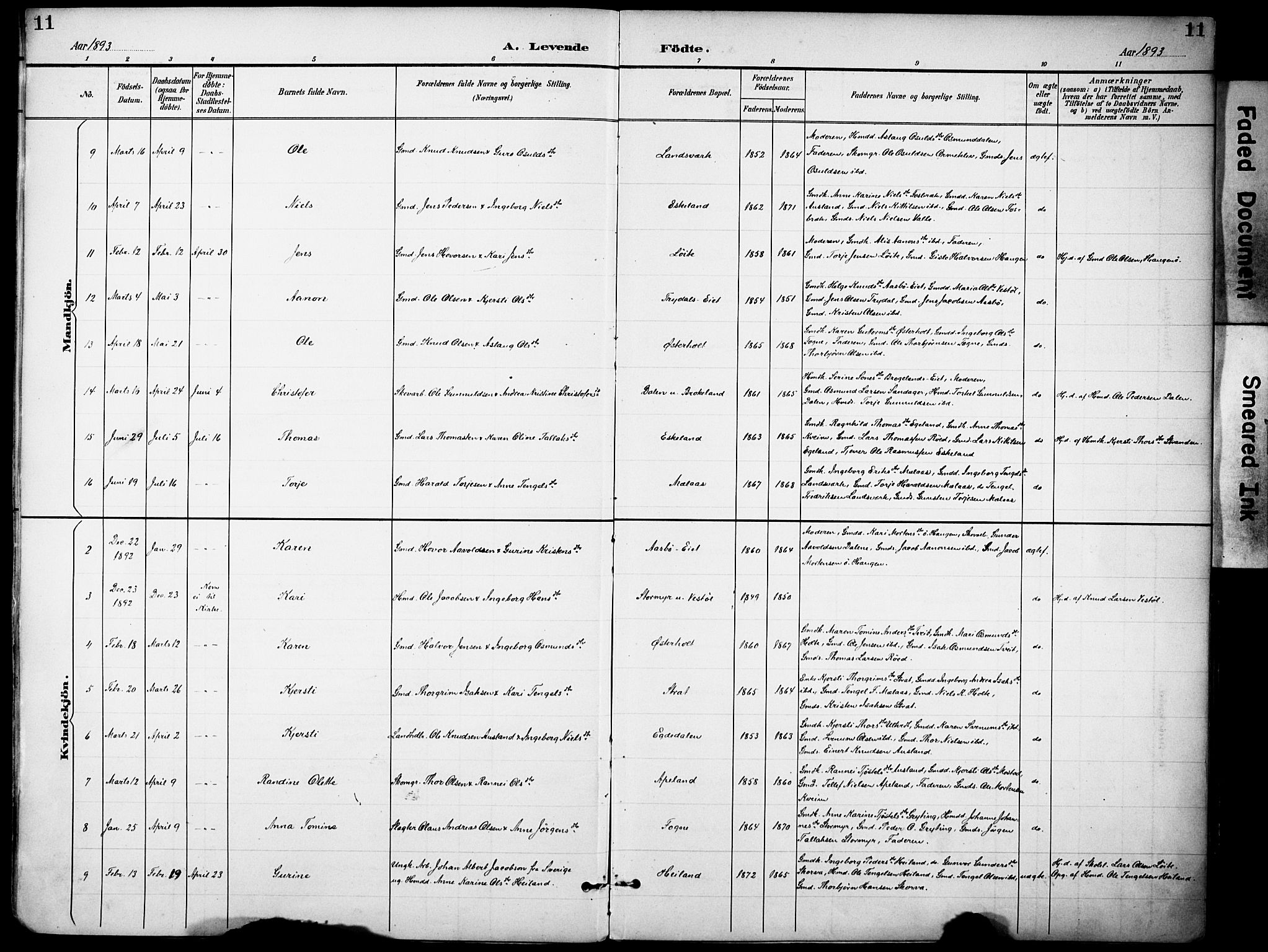 Gjerstad sokneprestkontor, SAK/1111-0014/F/Fa/Faa/L0010: Parish register (official) no. A 10, 1891-1902, p. 11