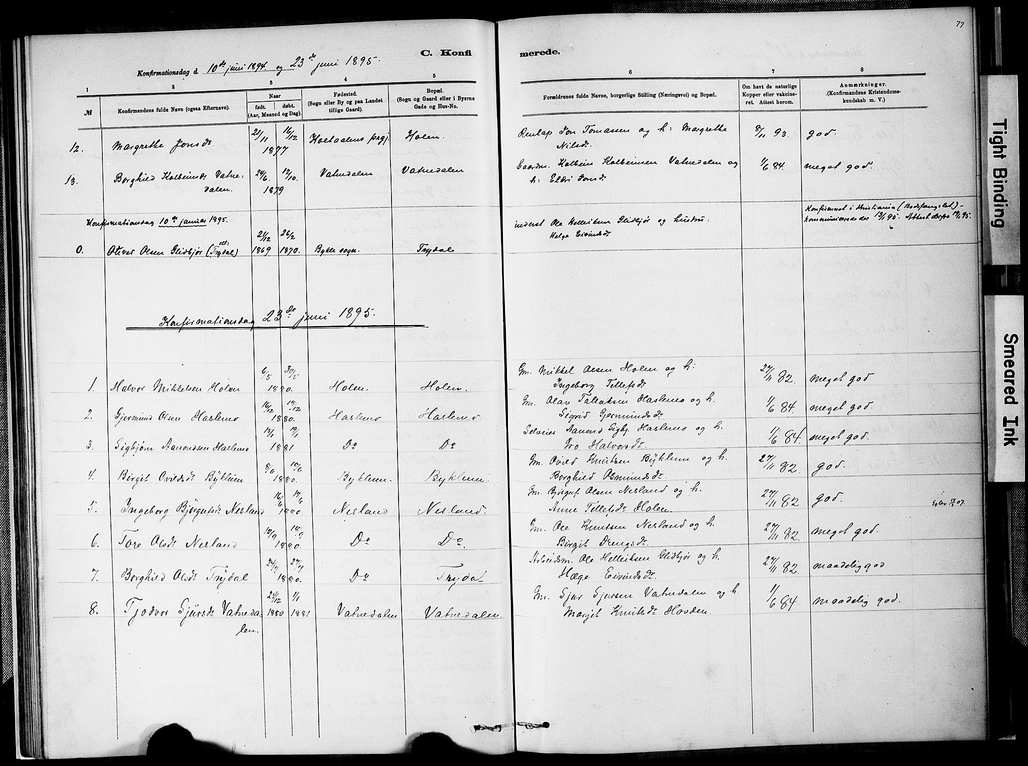 Valle sokneprestkontor, AV/SAK-1111-0044/F/Fa/Faa/L0001: Parish register (official) no. A 1, 1882-1907, p. 77
