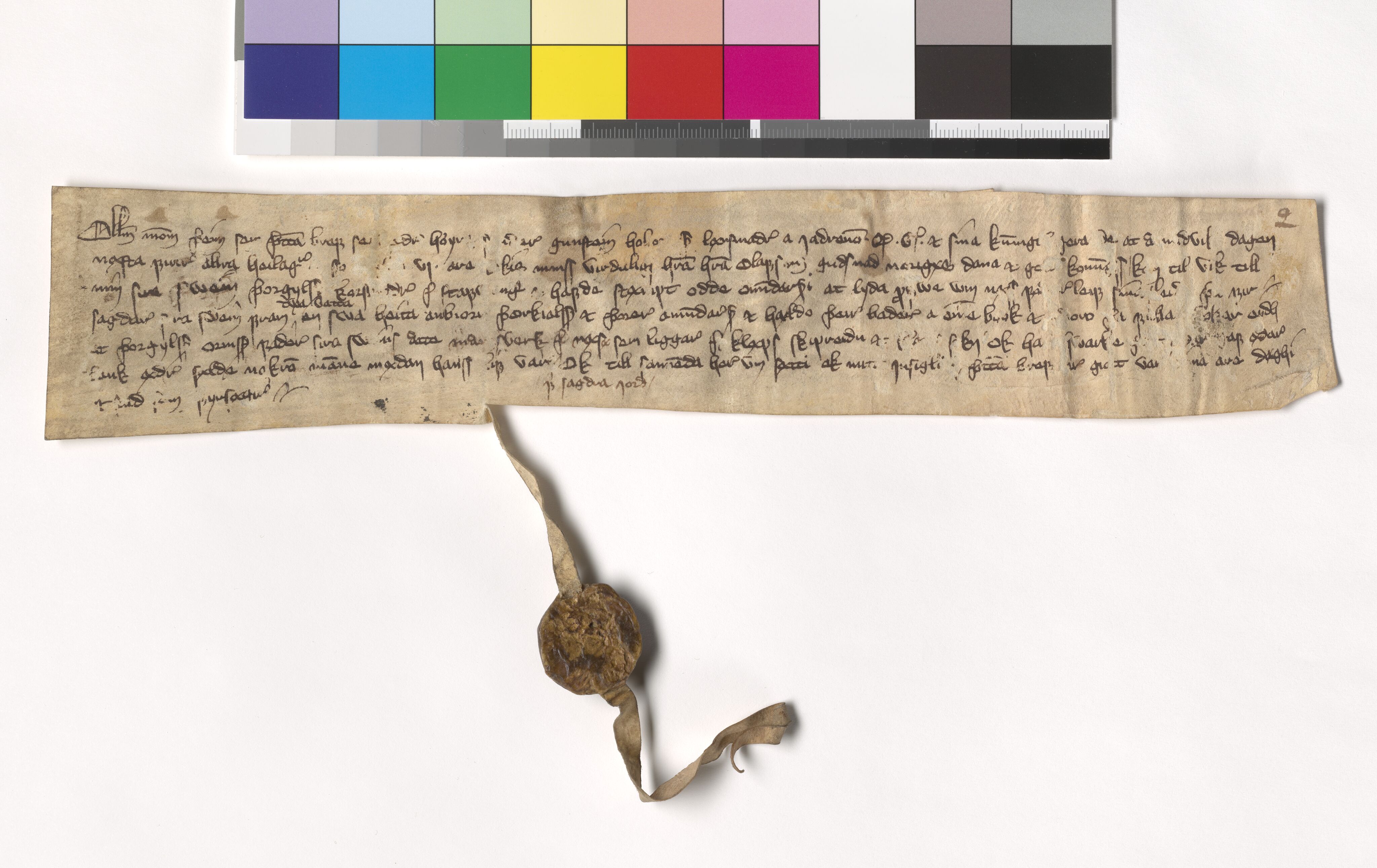 Riksarkivets diplomsamling, AV/RA-EA-5965/F05/L0114: NRA AM fasc. 37 nr. 5-10, 1386-1388, p. 5