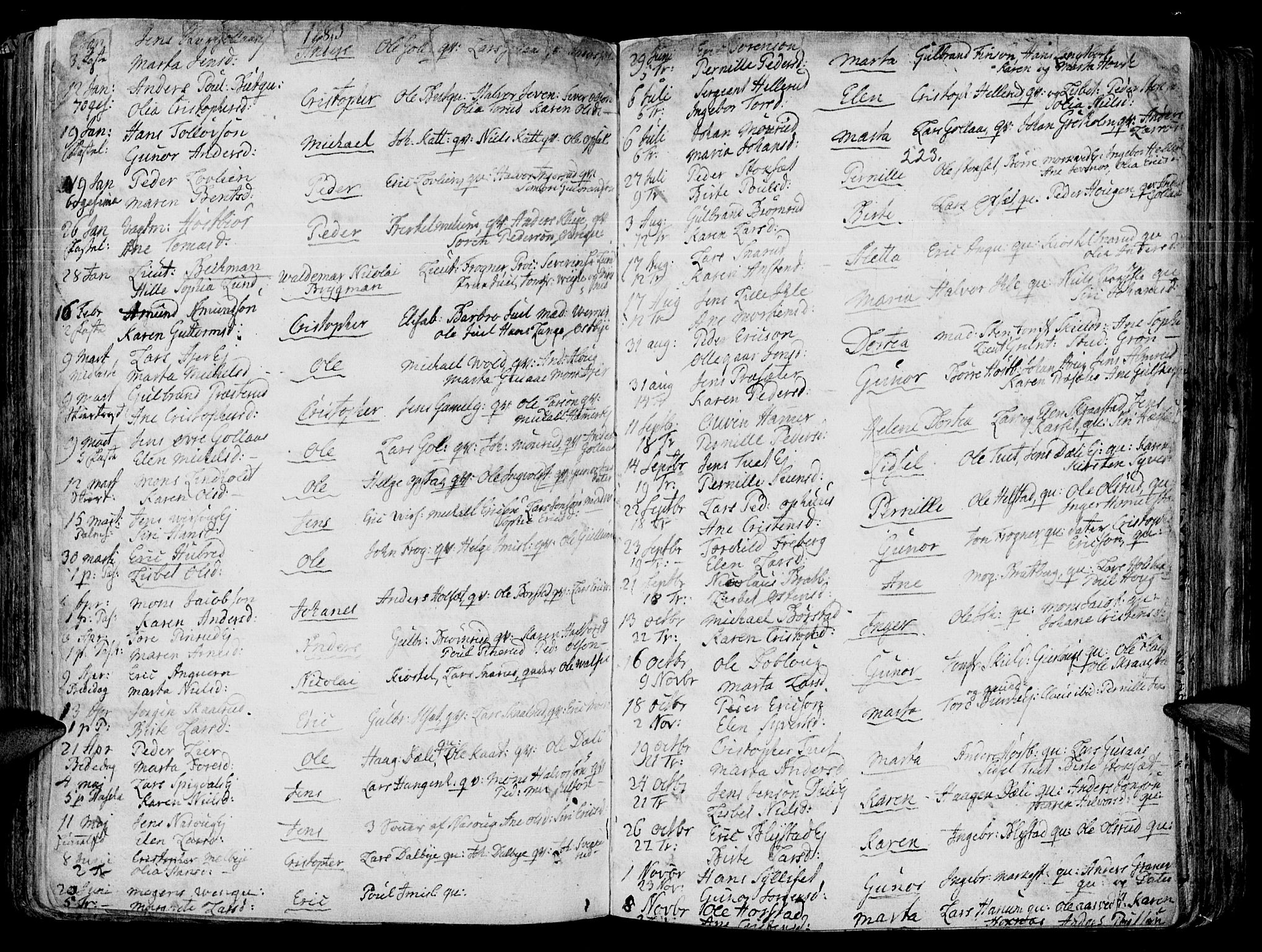 Vang prestekontor, Hedmark, SAH/PREST-008/H/Ha/Haa/L0003: Parish register (official) no. 3, 1734-1809, p. 223