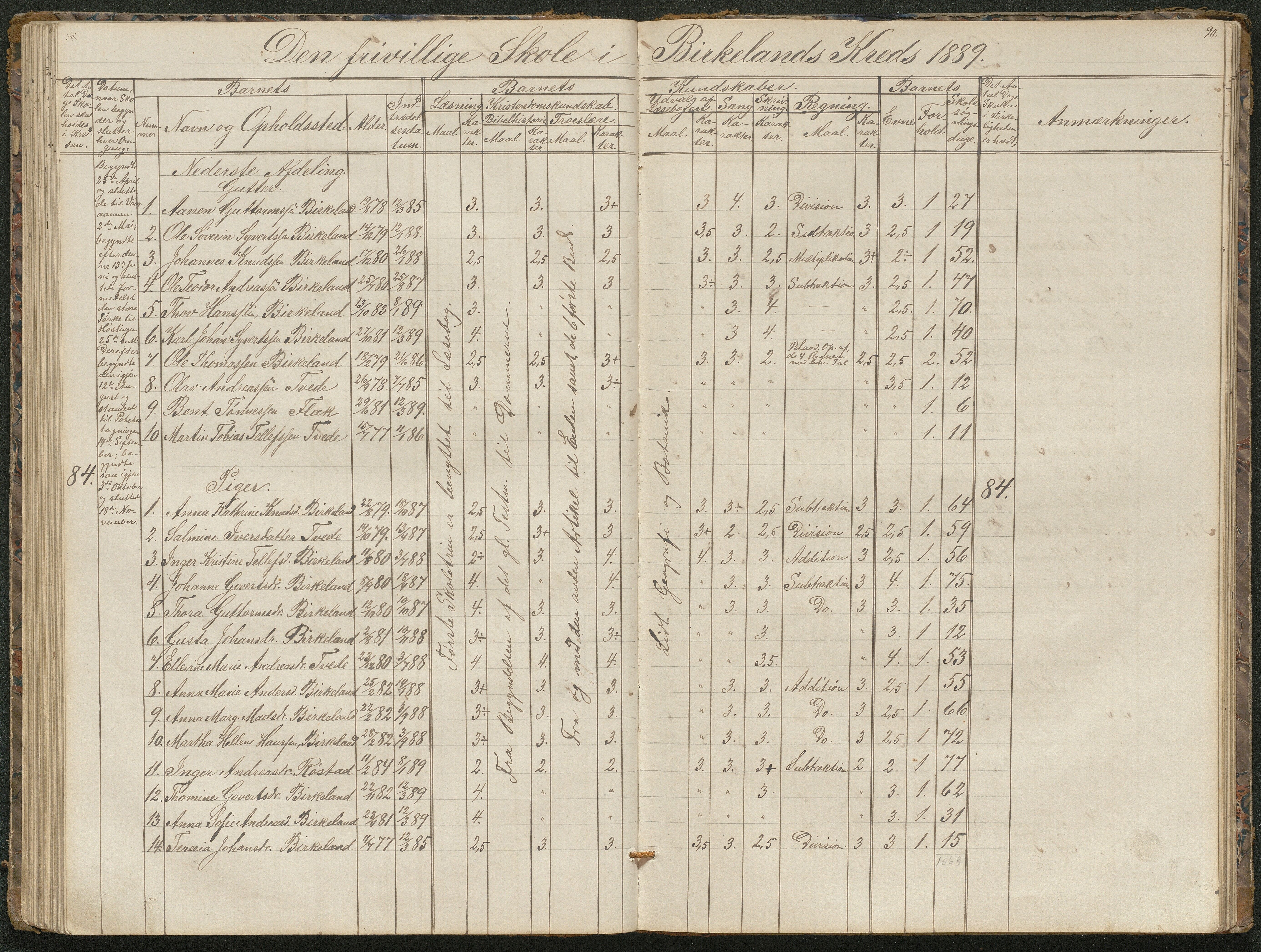 Birkenes kommune, Birkenes krets/Birkeland folkeskole frem til 1991, AAMA/KA0928-550a_91/F02/L0001: Skoleprotokoll, 1862-1896, p. 90