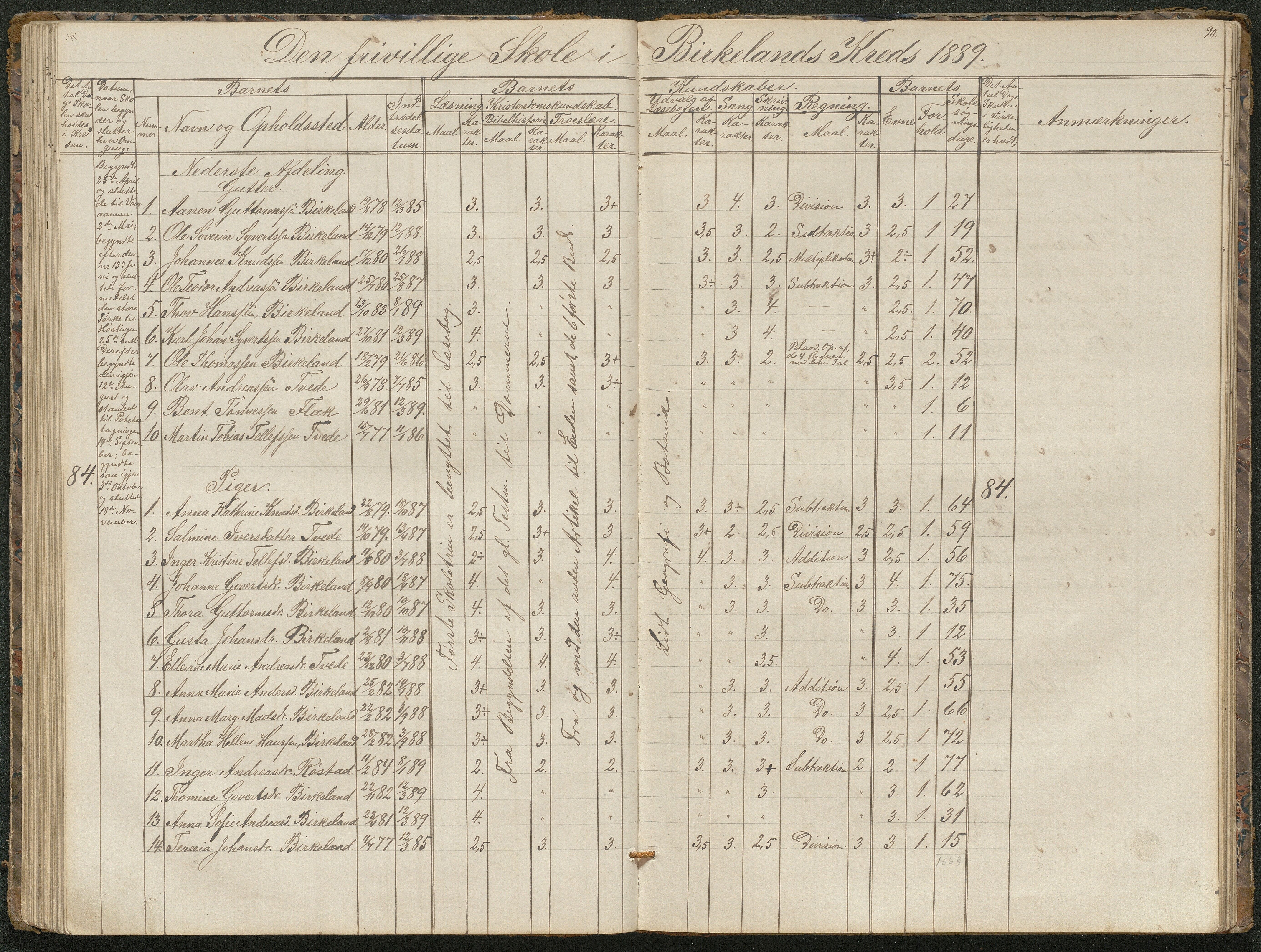 Birkenes kommune, Birkenes krets/Birkeland folkeskole frem til 1991, AAKS/KA0928-550a_91/F02/L0001: Skoleprotokoll, 1862-1896, p. 90