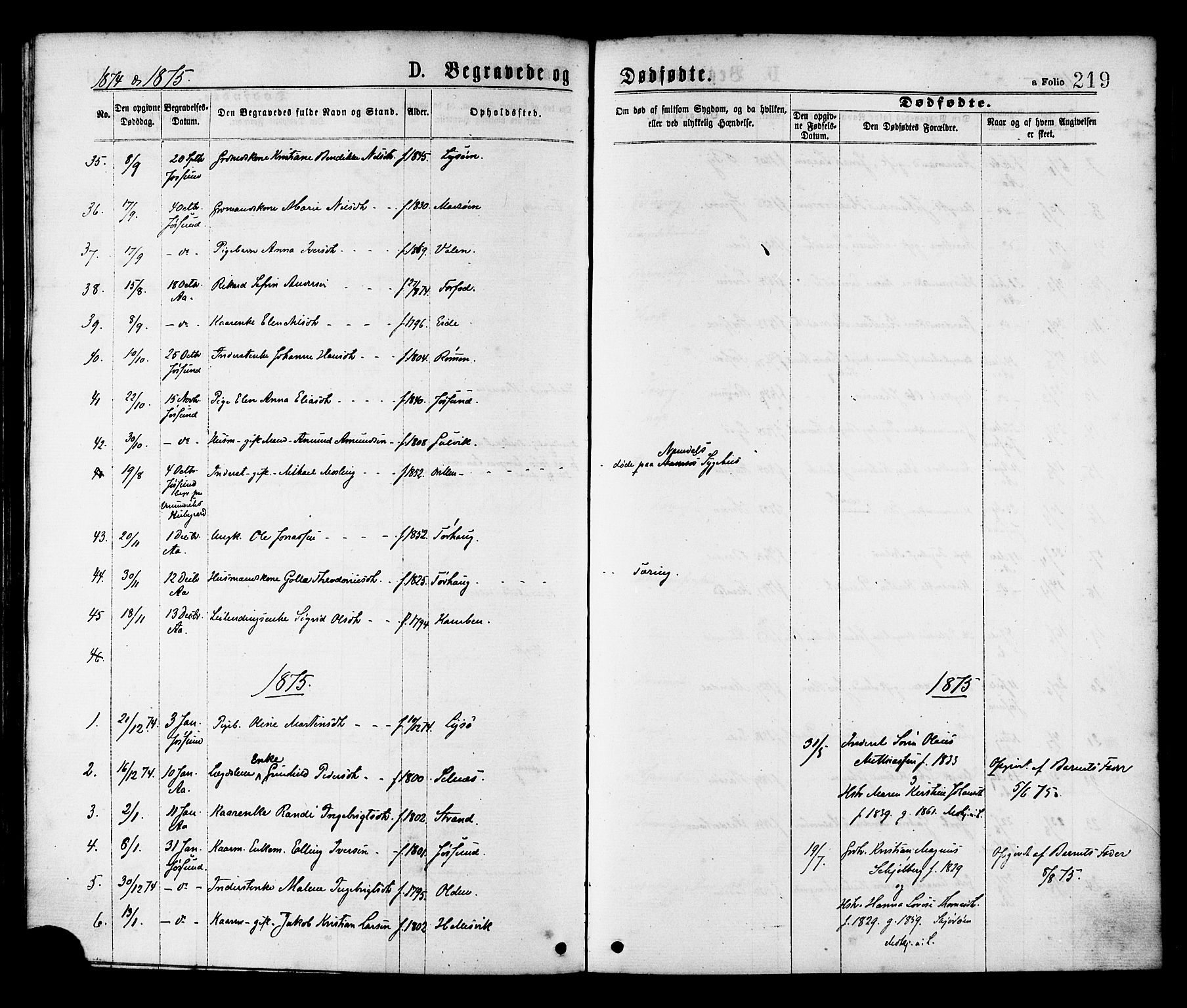 Ministerialprotokoller, klokkerbøker og fødselsregistre - Sør-Trøndelag, SAT/A-1456/655/L0679: Parish register (official) no. 655A08, 1873-1879, p. 219