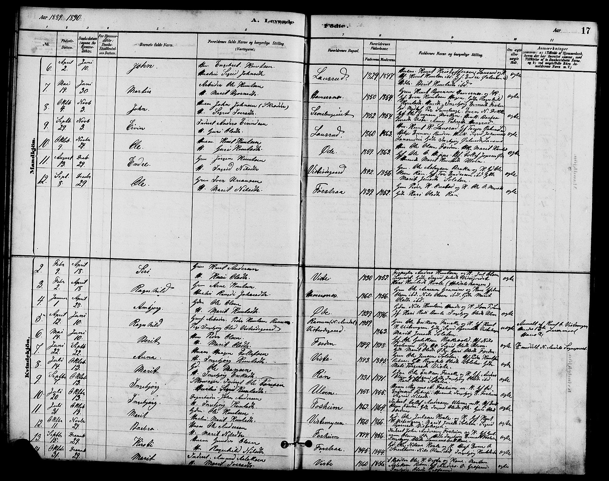 Vestre Slidre prestekontor, SAH/PREST-136/H/Ha/Hab/L0005: Parish register (copy) no. 5, 1881-1913, p. 17
