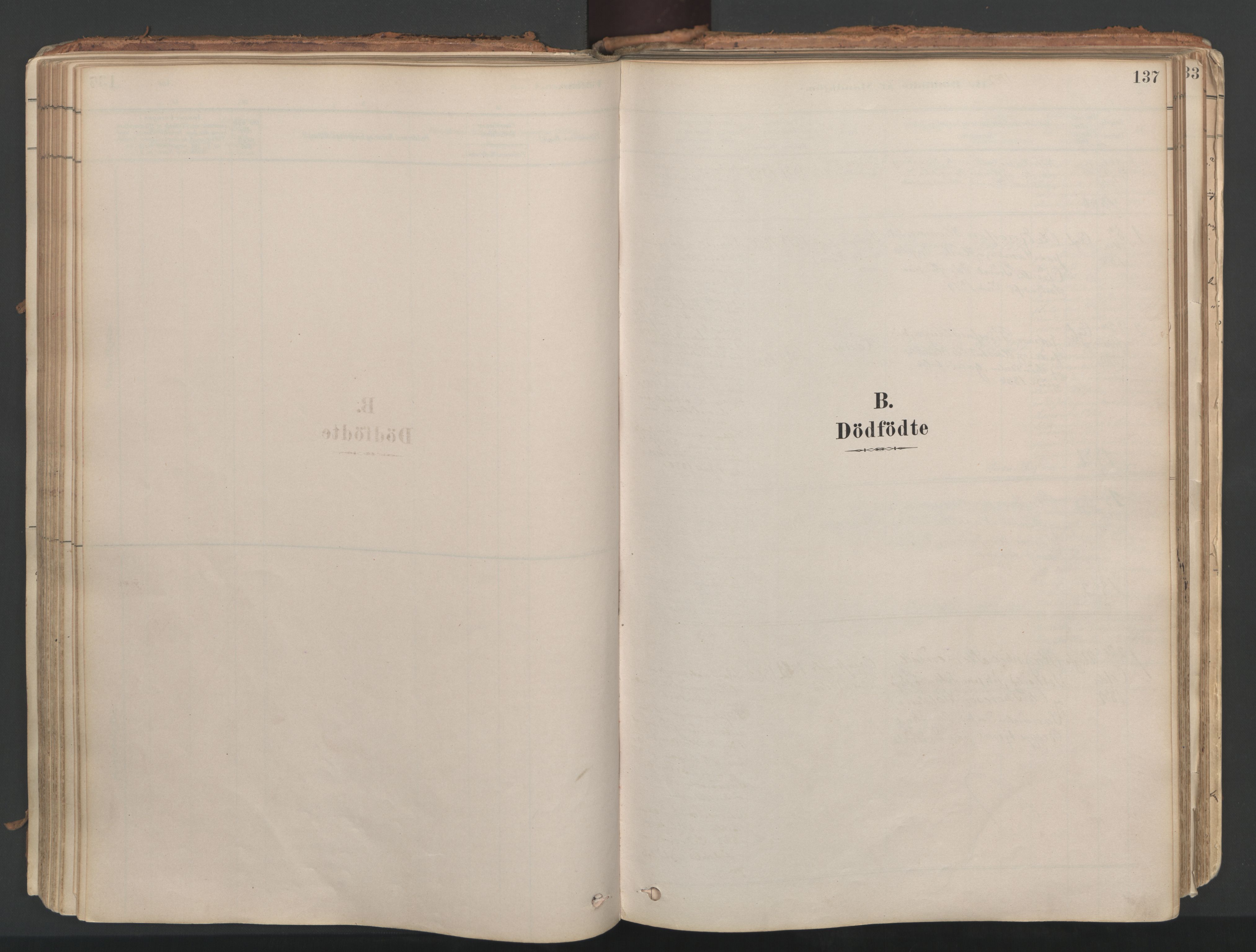 Ministerialprotokoller, klokkerbøker og fødselsregistre - Møre og Romsdal, SAT/A-1454/592/L1029: Parish register (official) no. 592A07, 1879-1902, p. 137