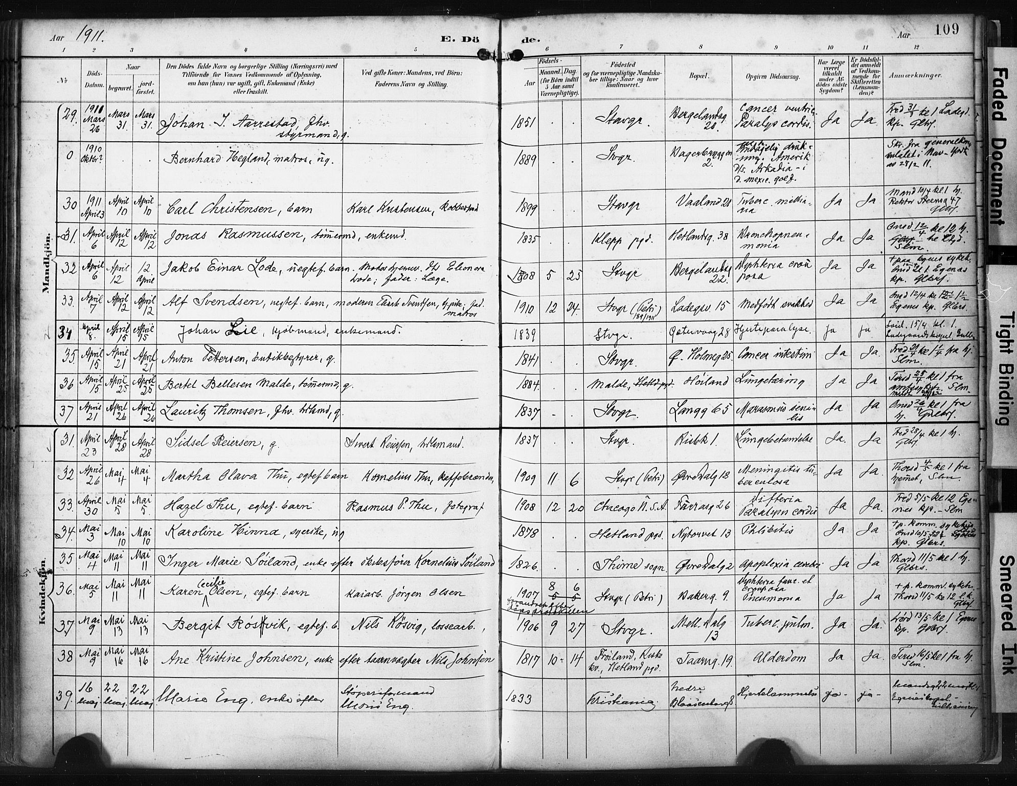 St. Petri sokneprestkontor, AV/SAST-A-101813/001/30/30BA/L0022: Parish register (official) no. A 22, 1895-1919, p. 109