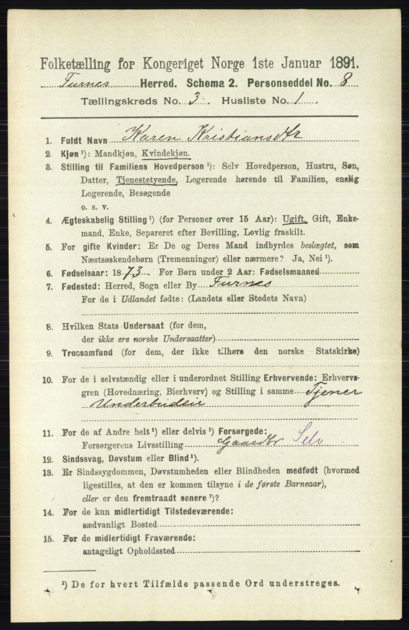 RA, Census 1891 for 0413 Furnes herred, 1891, p. 1639