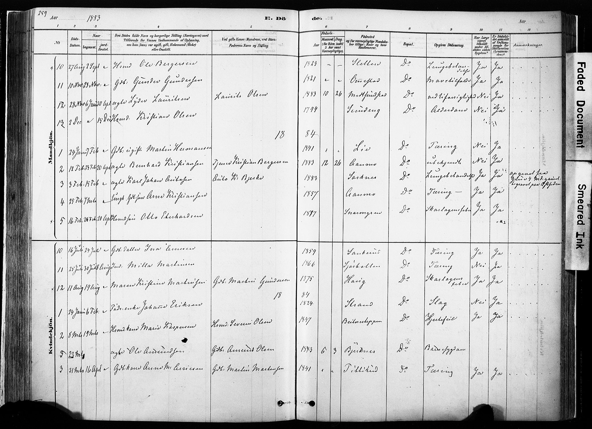 Hof prestekontor, SAH/PREST-038/H/Ha/Haa/L0010: Parish register (official) no. 10, 1878-1909, p. 259