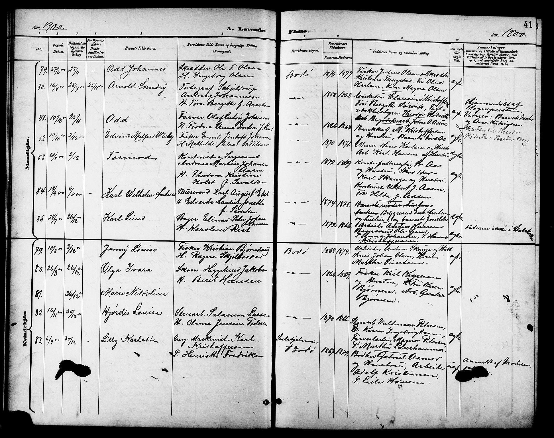 Ministerialprotokoller, klokkerbøker og fødselsregistre - Nordland, AV/SAT-A-1459/801/L0033: Parish register (copy) no. 801C08, 1898-1910, p. 41