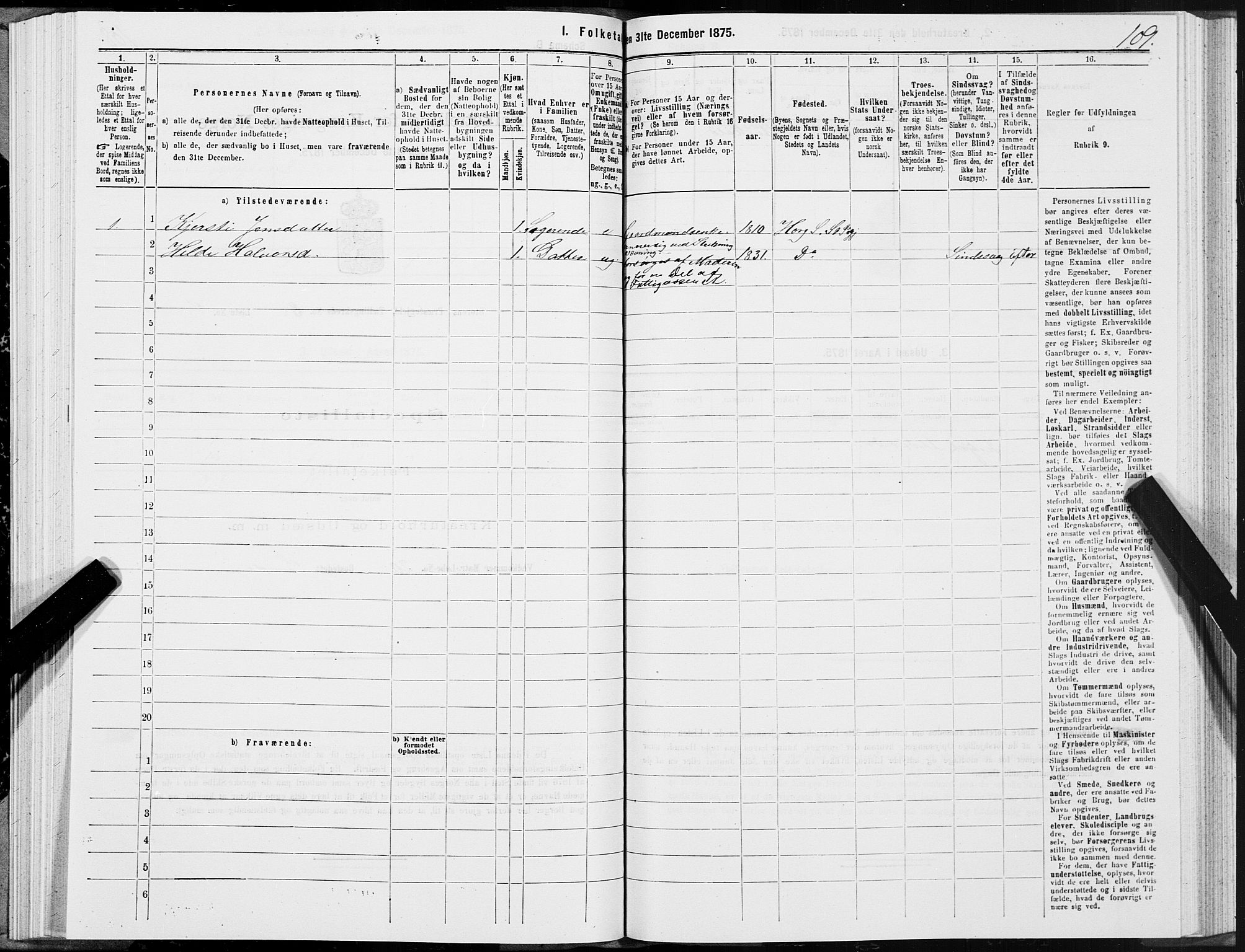 SAT, 1875 census for 1648P Støren, 1875, p. 4109