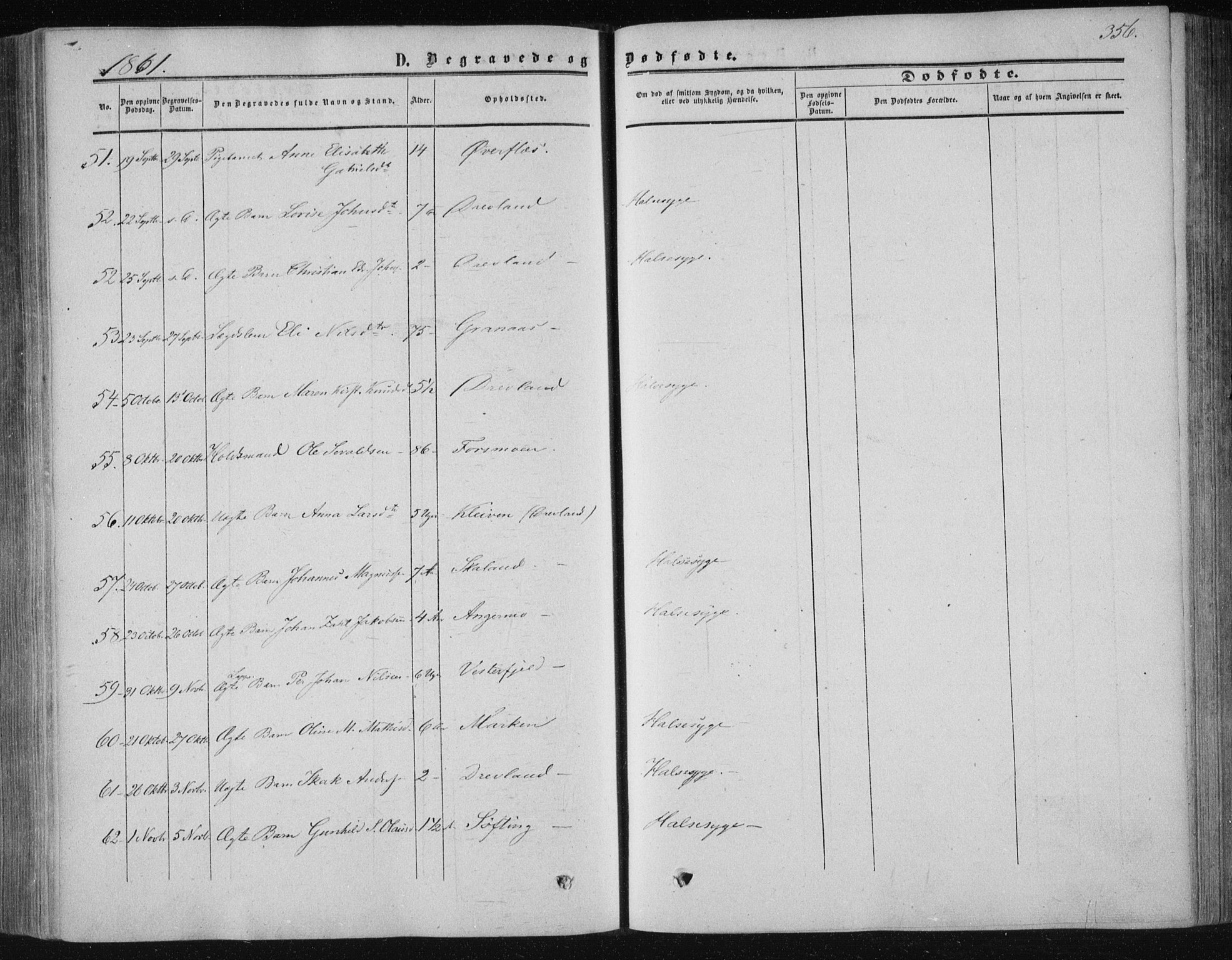 Ministerialprotokoller, klokkerbøker og fødselsregistre - Nordland, AV/SAT-A-1459/820/L0293: Parish register (official) no. 820A14, 1855-1865, p. 356