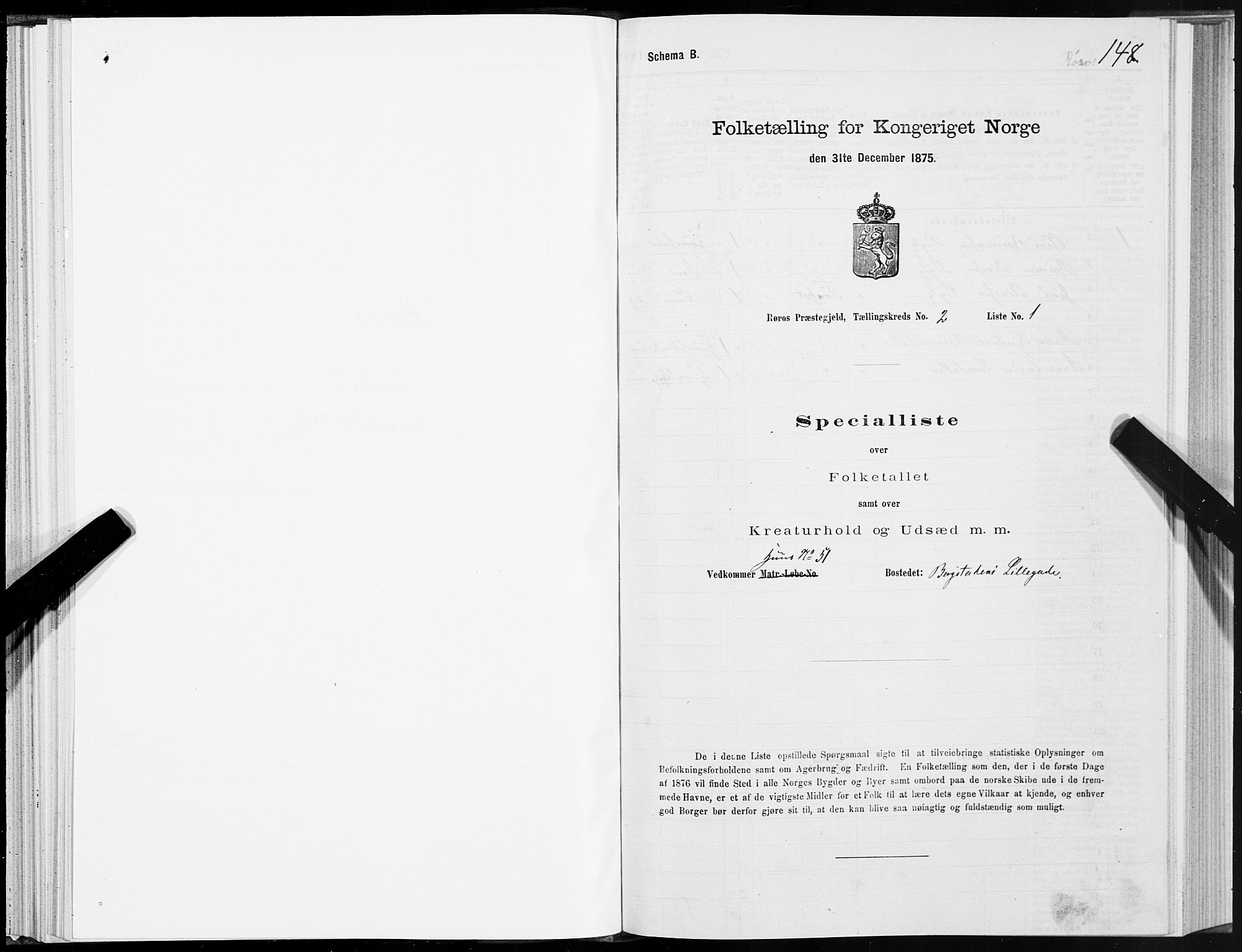 SAT, 1875 census for 1640P Røros, 1875, p. 1148