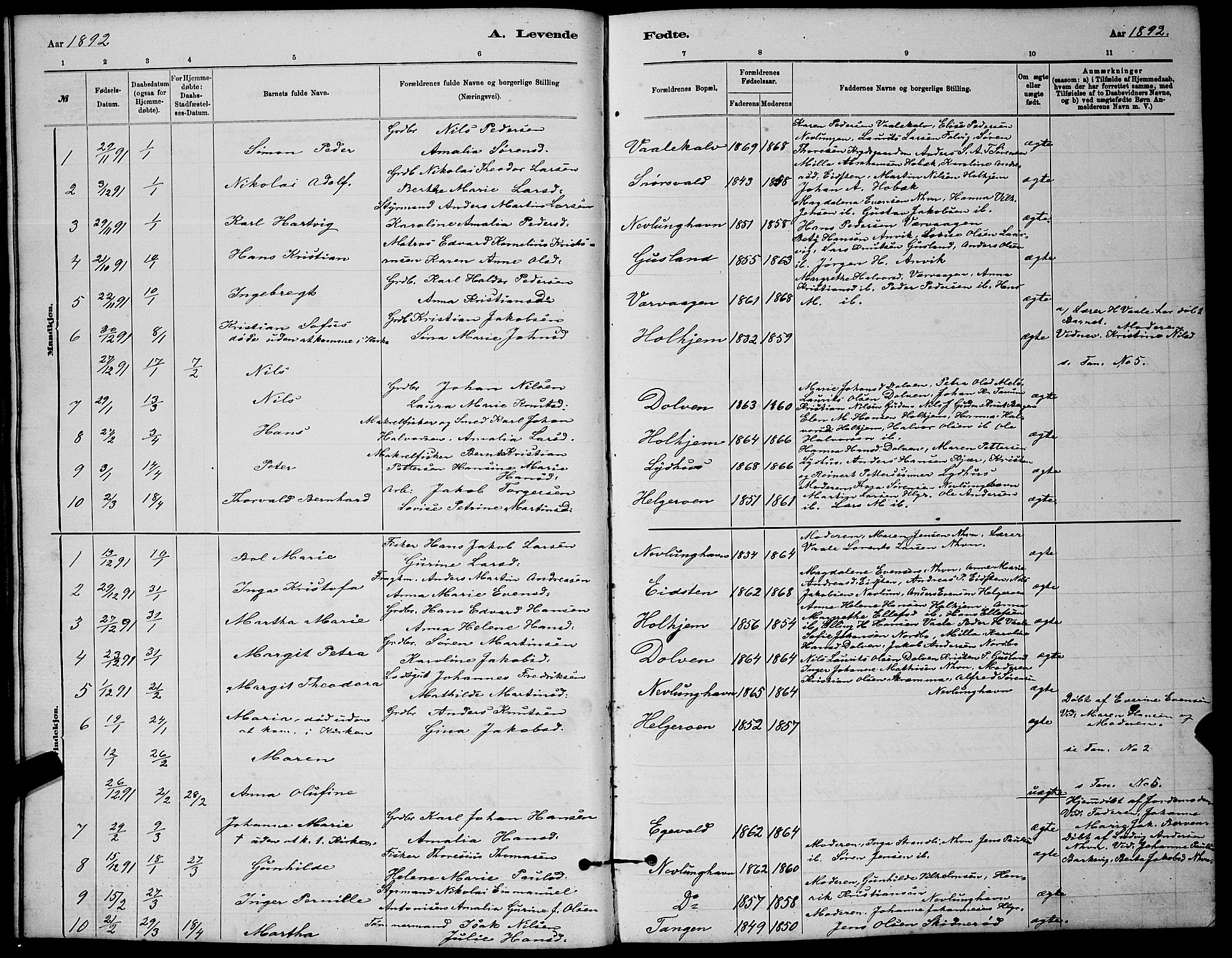 Brunlanes kirkebøker, AV/SAKO-A-342/G/Gb/L0002: Parish register (copy) no. II 2, 1878-1902