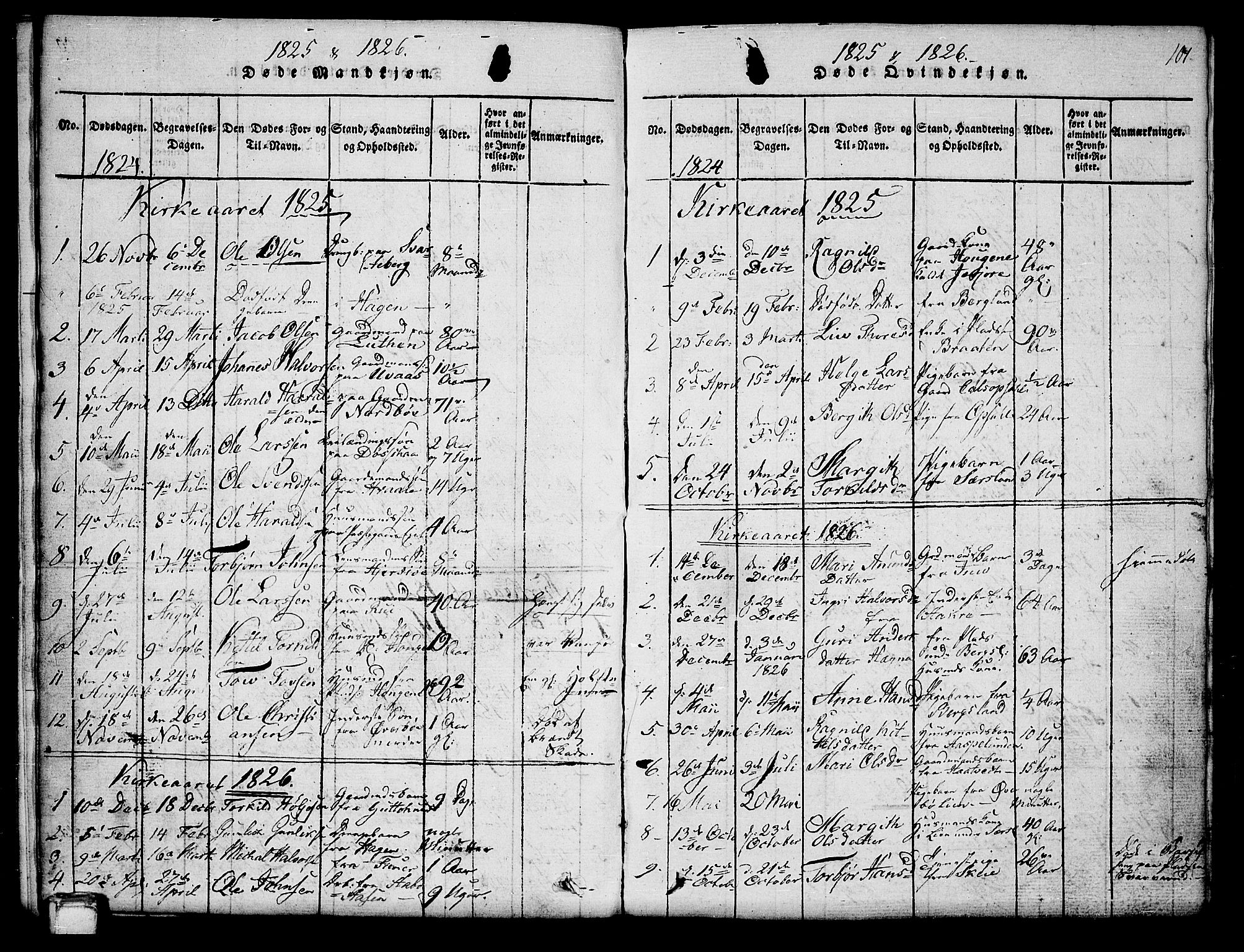 Hjartdal kirkebøker, SAKO/A-270/G/Ga/L0001: Parish register (copy) no. I 1, 1815-1842, p. 101