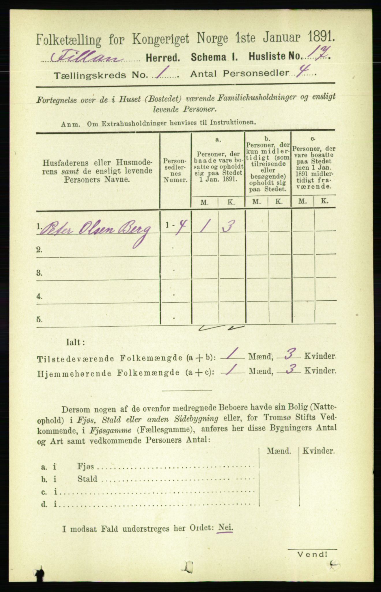 RA, 1891 census for 1616 Fillan, 1891, p. 45