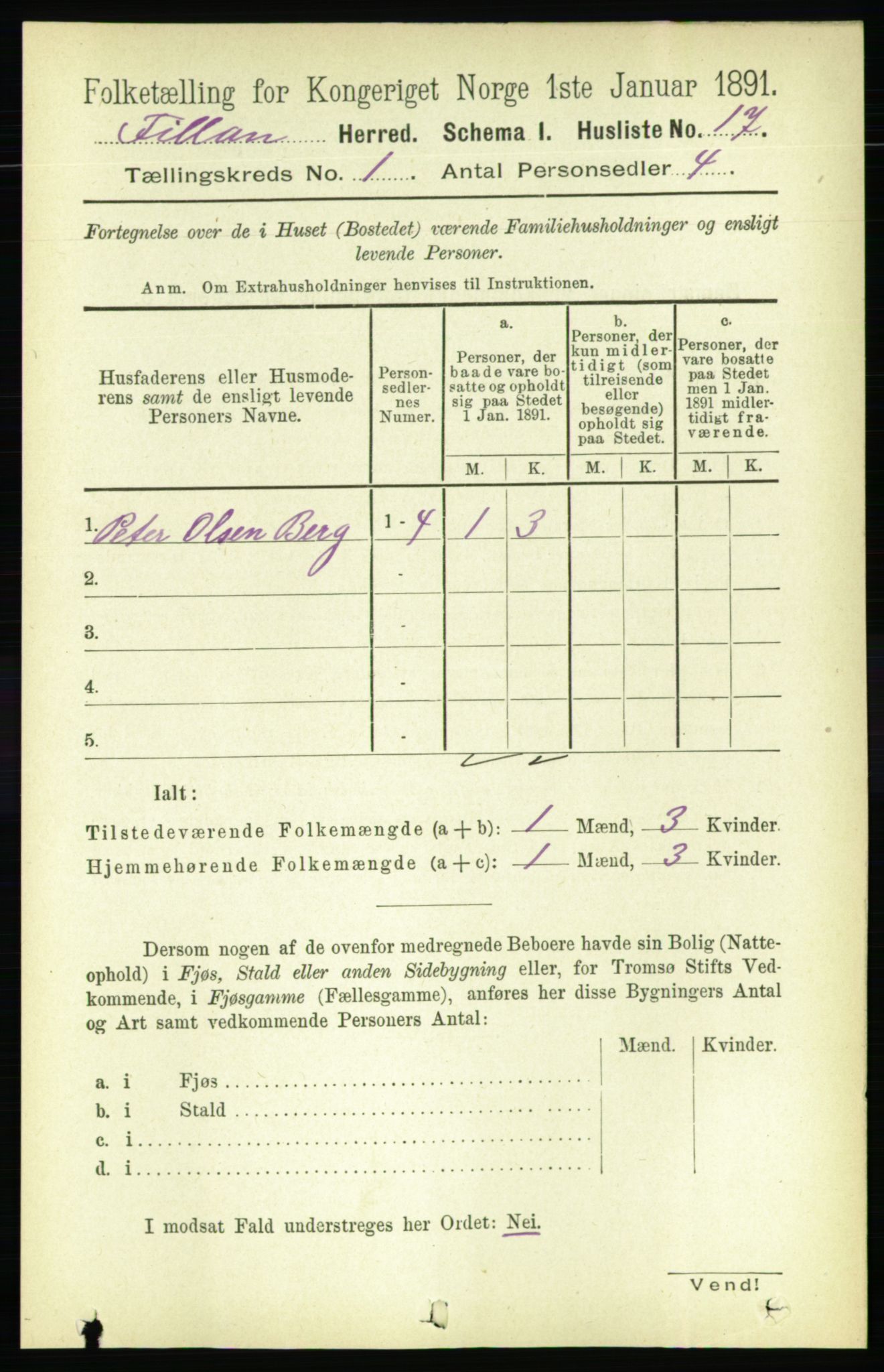 RA, 1891 census for 1616 Fillan, 1891, p. 45