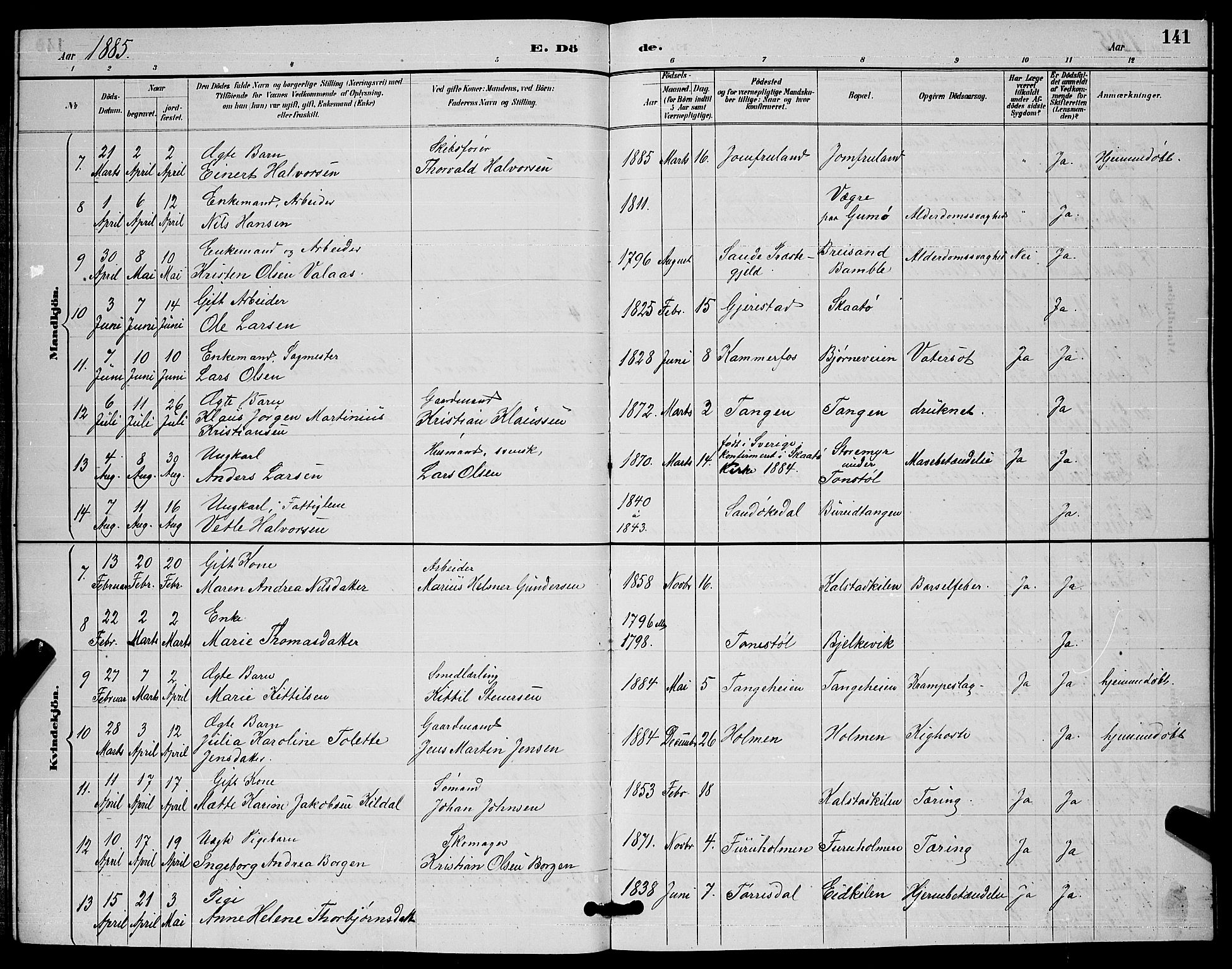 Skåtøy kirkebøker, SAKO/A-304/G/Ga/L0003: Parish register (copy) no. I 3, 1884-1898, p. 141