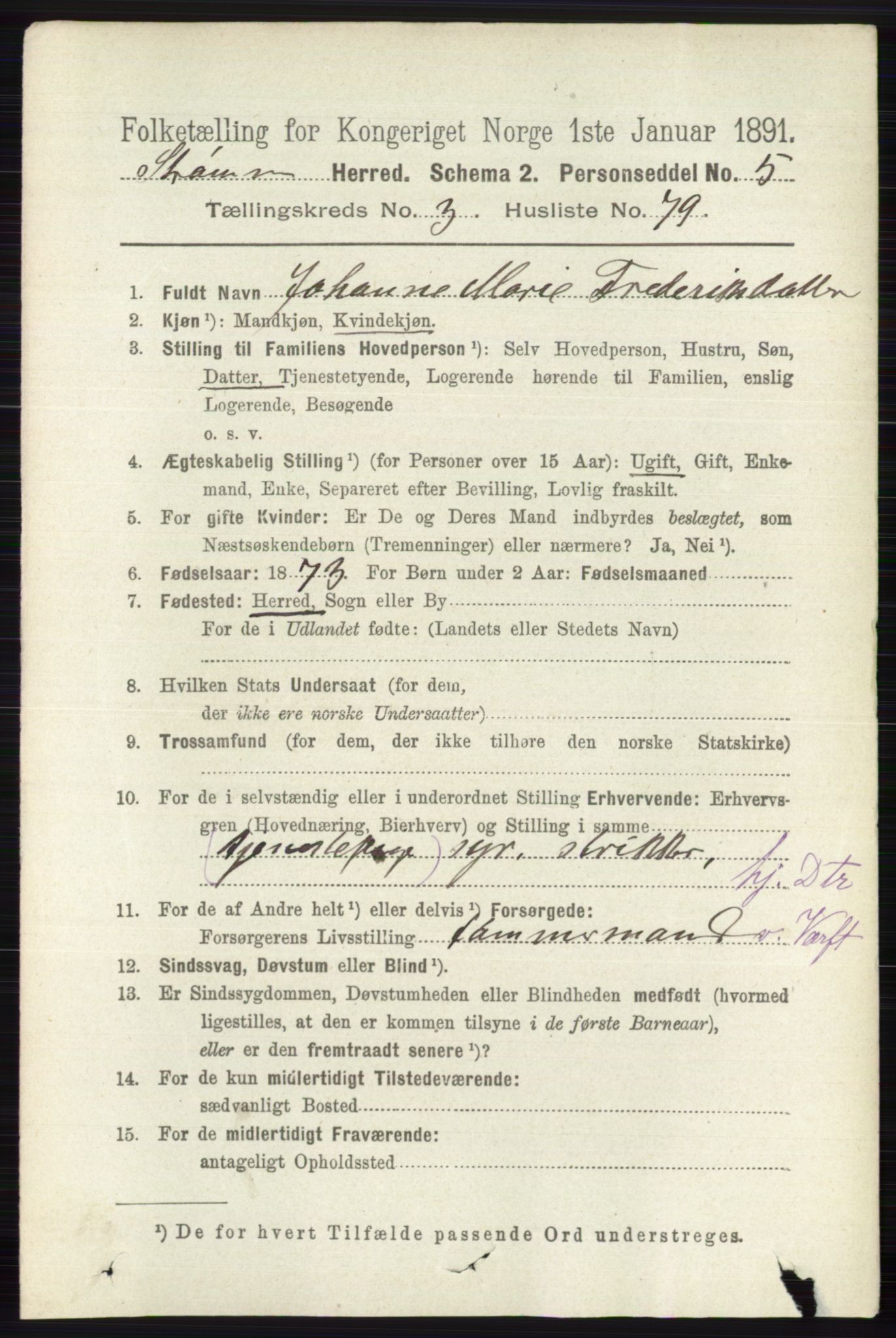 RA, 1891 census for 0711 Strømm, 1891, p. 1506