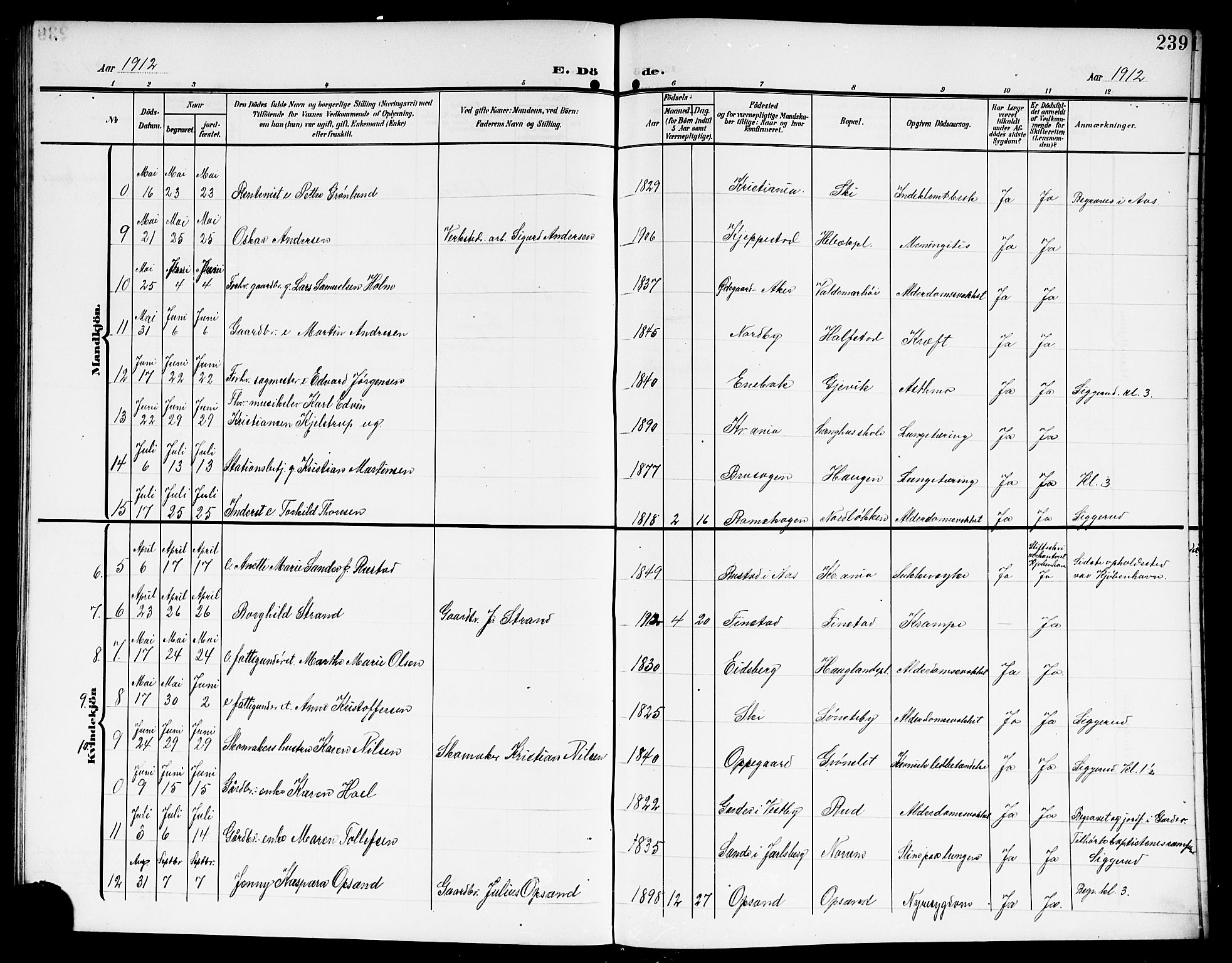 Kråkstad prestekontor Kirkebøker, SAO/A-10125a/G/Gb/L0001: Parish register (copy) no. II 1, 1905-1920, p. 239