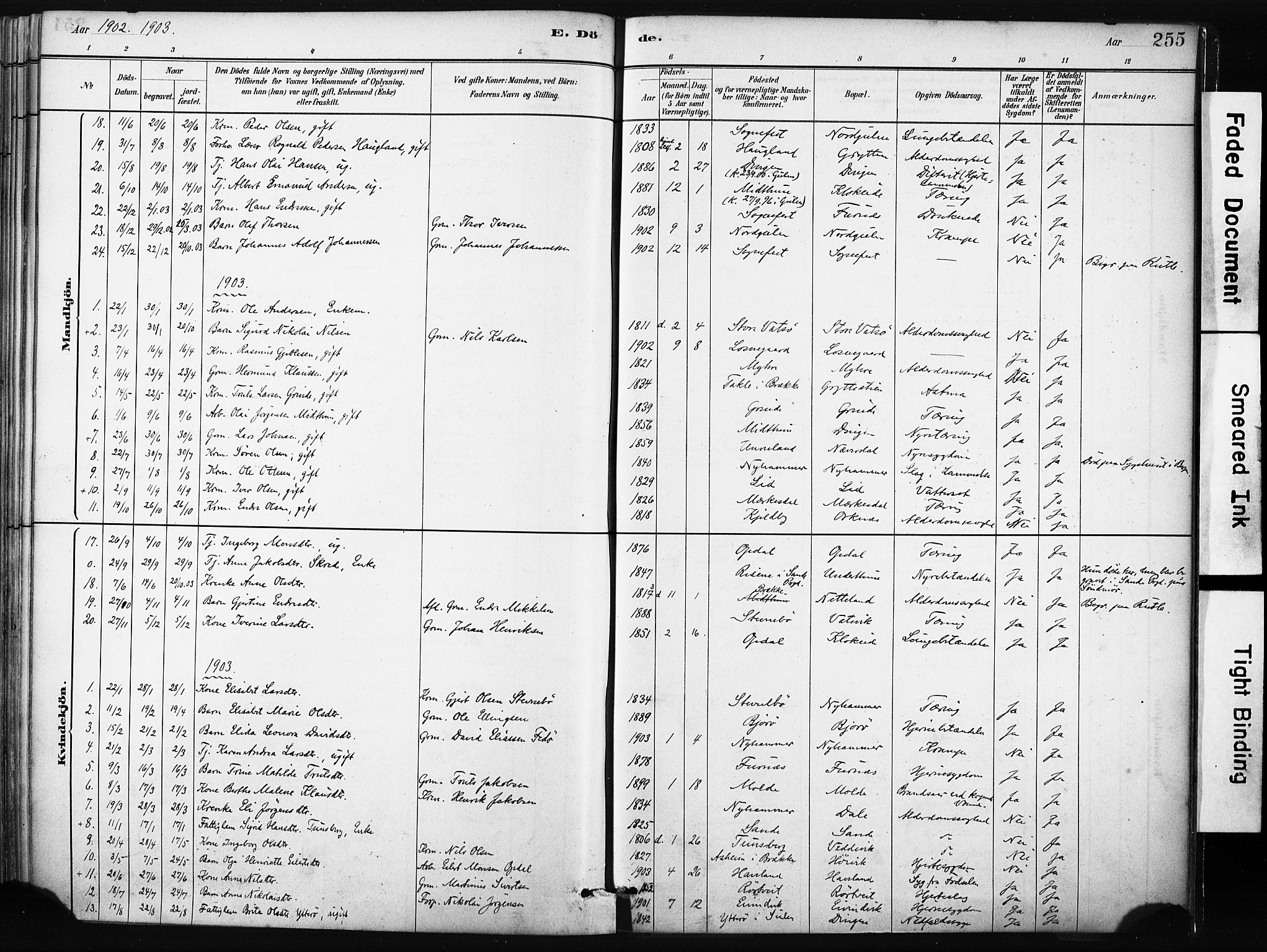 Gulen sokneprestembete, SAB/A-80201/H/Haa/Haab/L0001: Parish register (official) no. B 1, 1881-1905, p. 255
