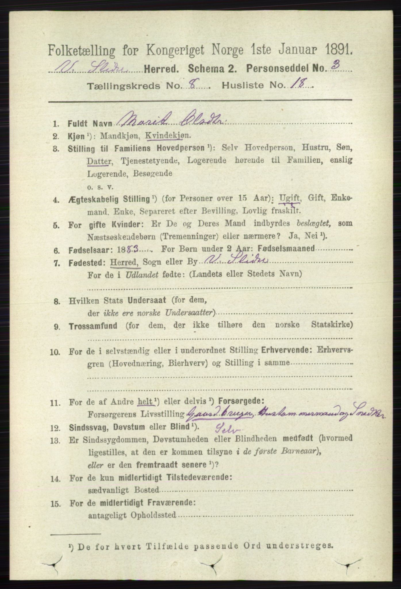 RA, 1891 census for 0543 Vestre Slidre, 1891, p. 3079