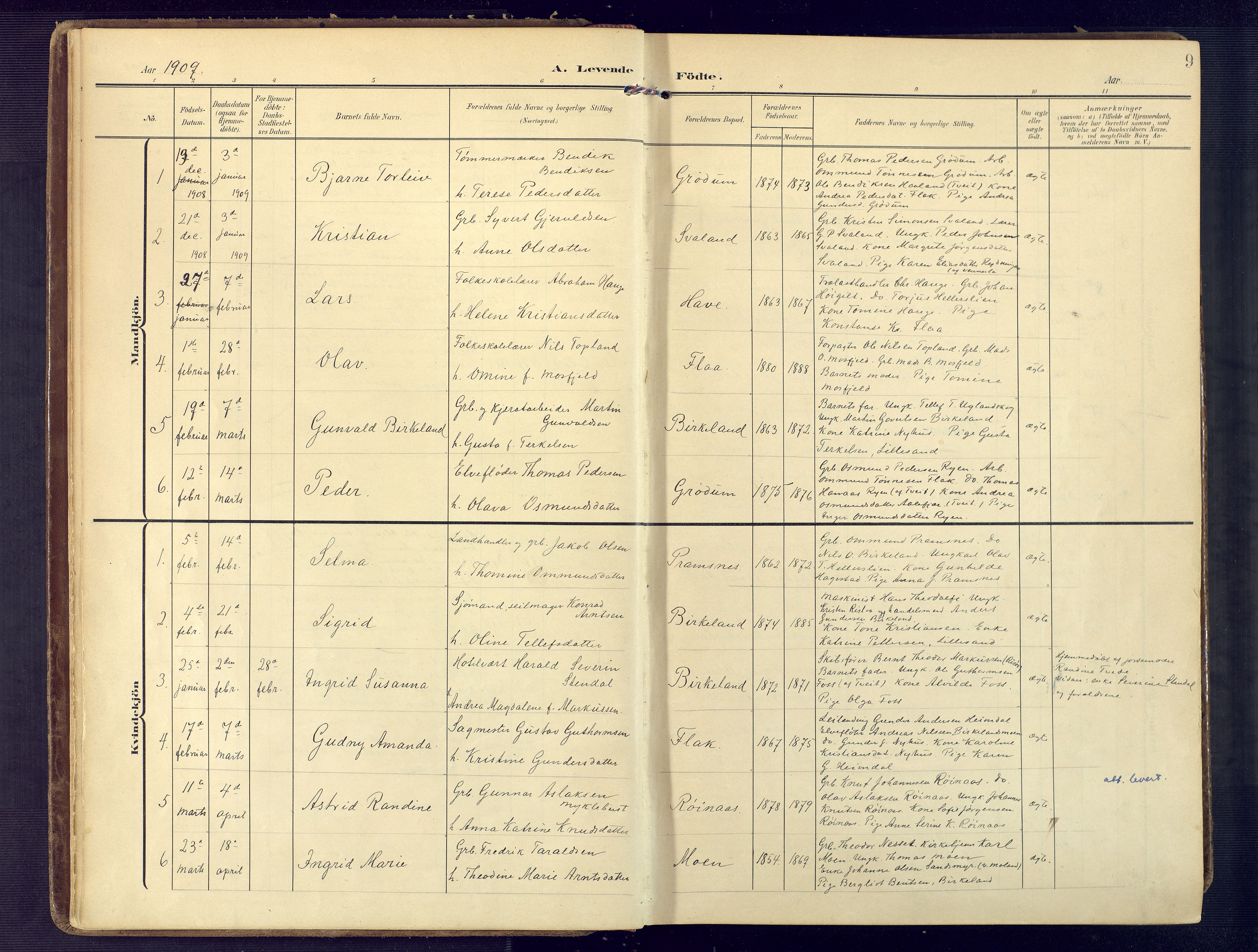 Birkenes sokneprestkontor, AV/SAK-1111-0004/F/Fa/L0006: Parish register (official) no. A 6, 1908-1932, p. 9