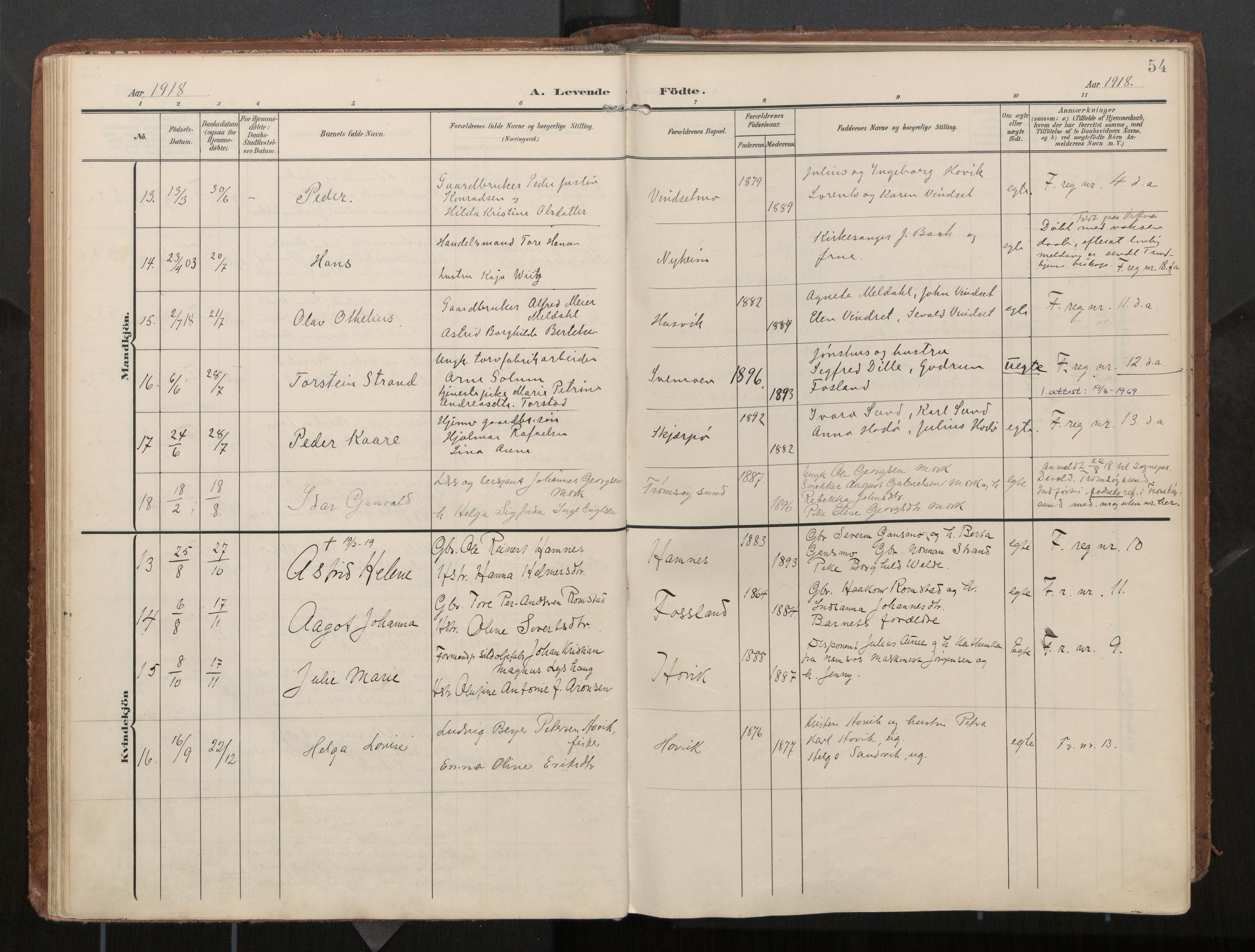 Ministerialprotokoller, klokkerbøker og fødselsregistre - Nord-Trøndelag, AV/SAT-A-1458/774/L0629: Parish register (official), 1904-1926, p. 54