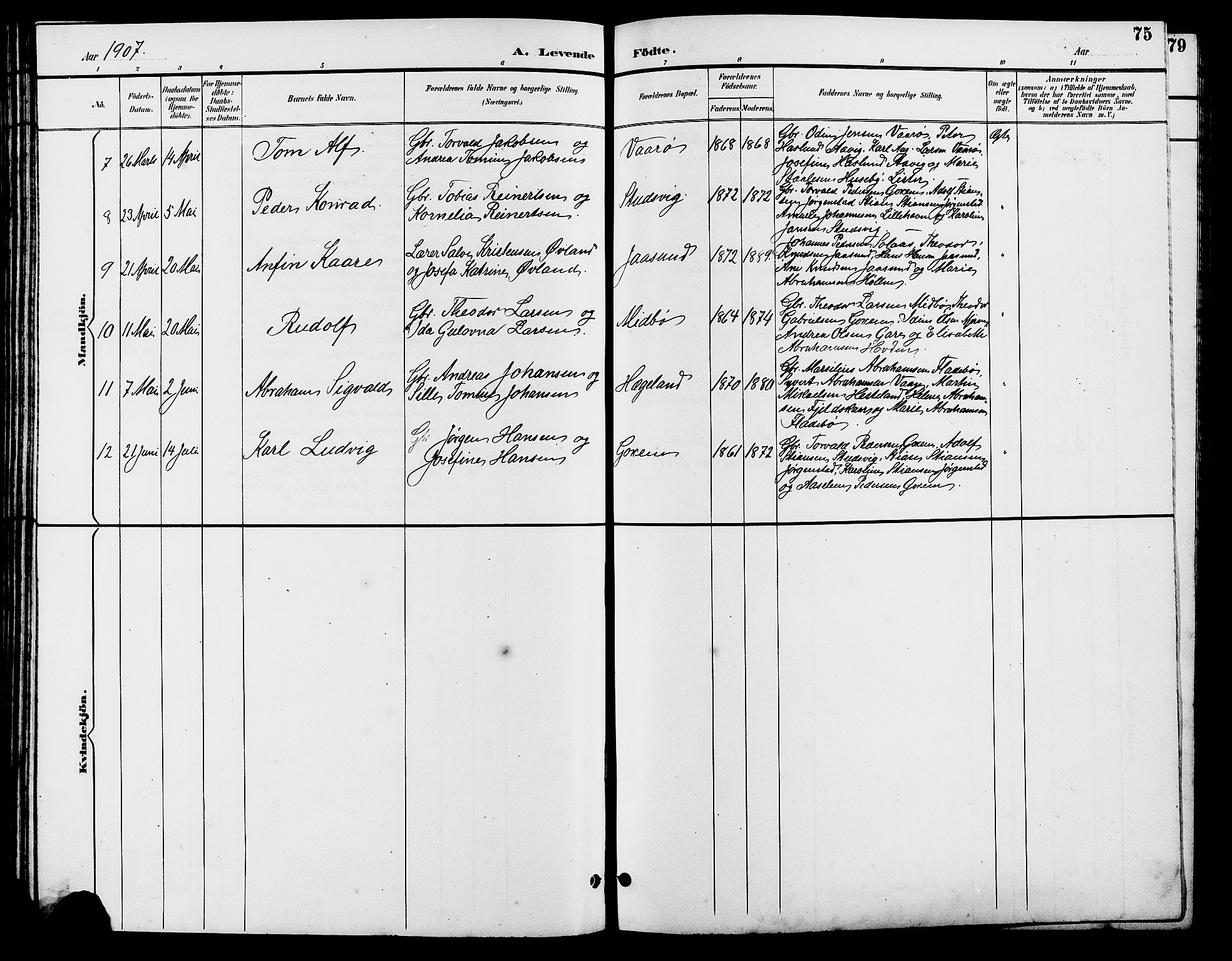 Sør-Audnedal sokneprestkontor, AV/SAK-1111-0039/F/Fb/Fba/L0004: Parish register (copy) no. B 4, 1893-1909, p. 75