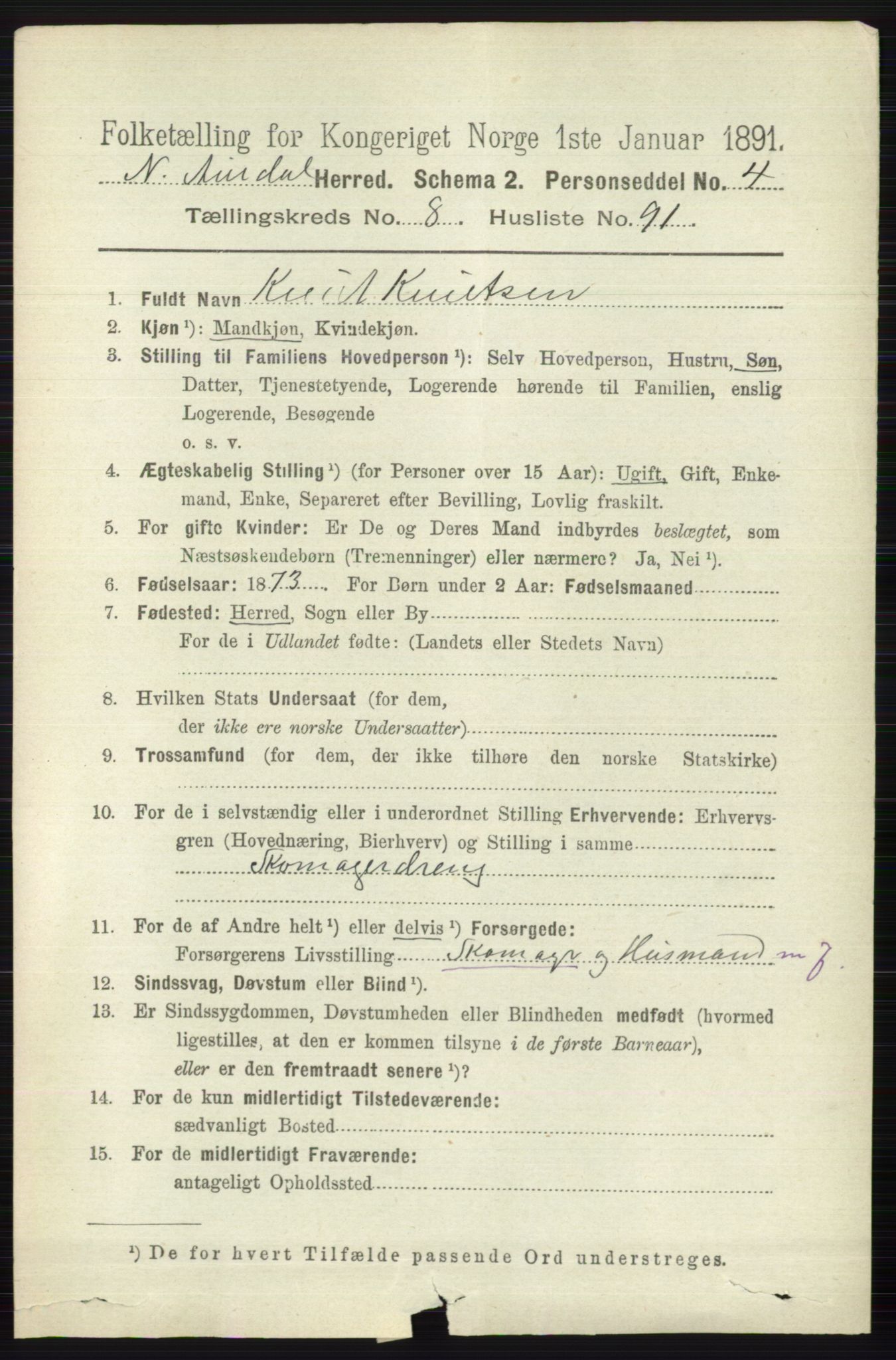 RA, 1891 census for 0542 Nord-Aurdal, 1891, p. 3364