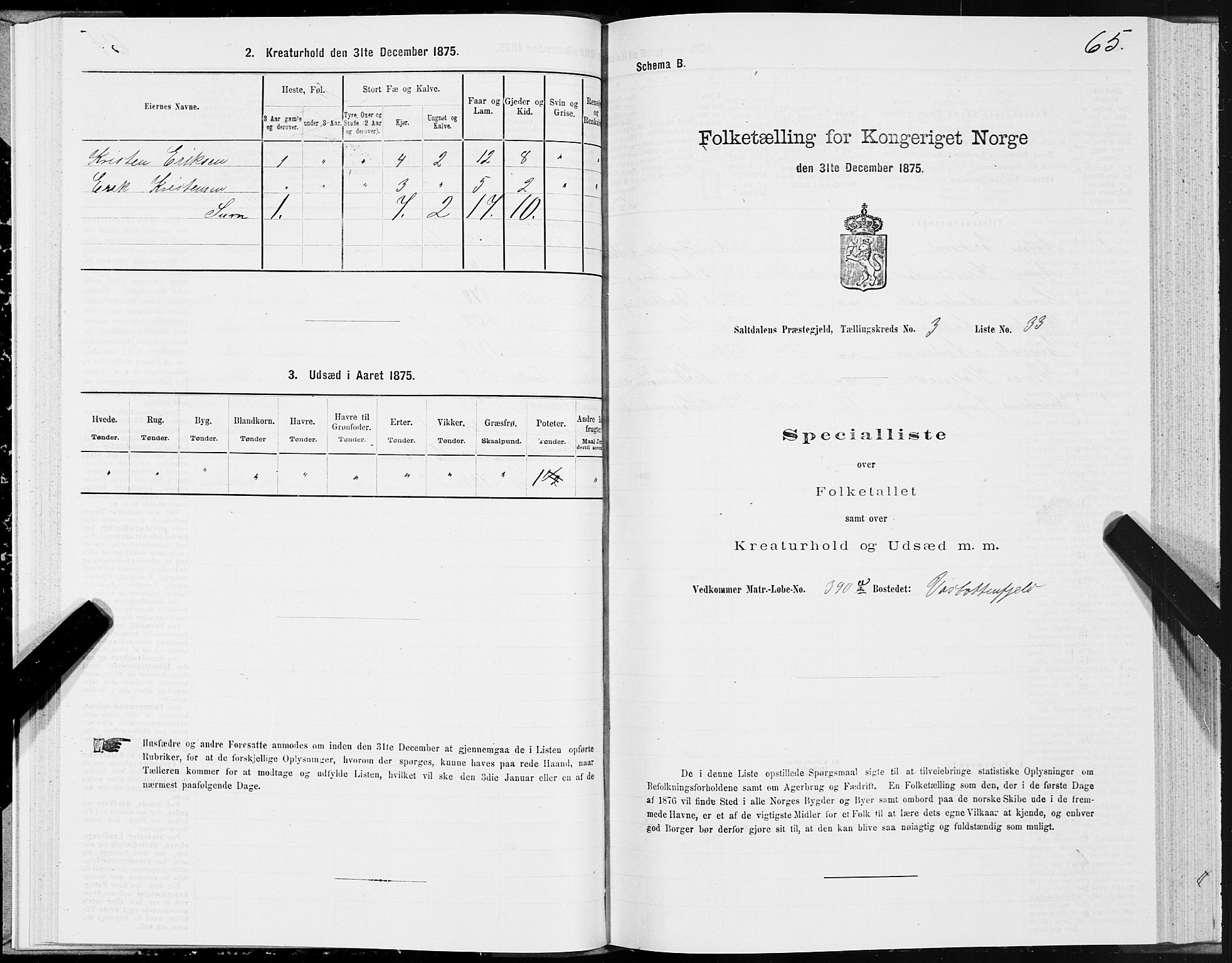 SAT, 1875 census for 1840P Saltdal, 1875, p. 2065