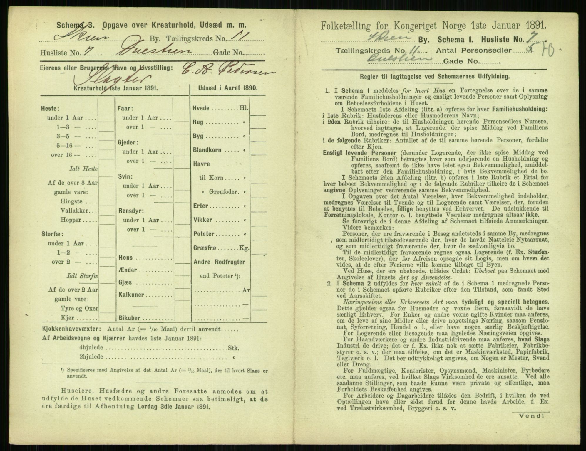 RA, 1891 census for 0806 Skien, 1891, p. 466