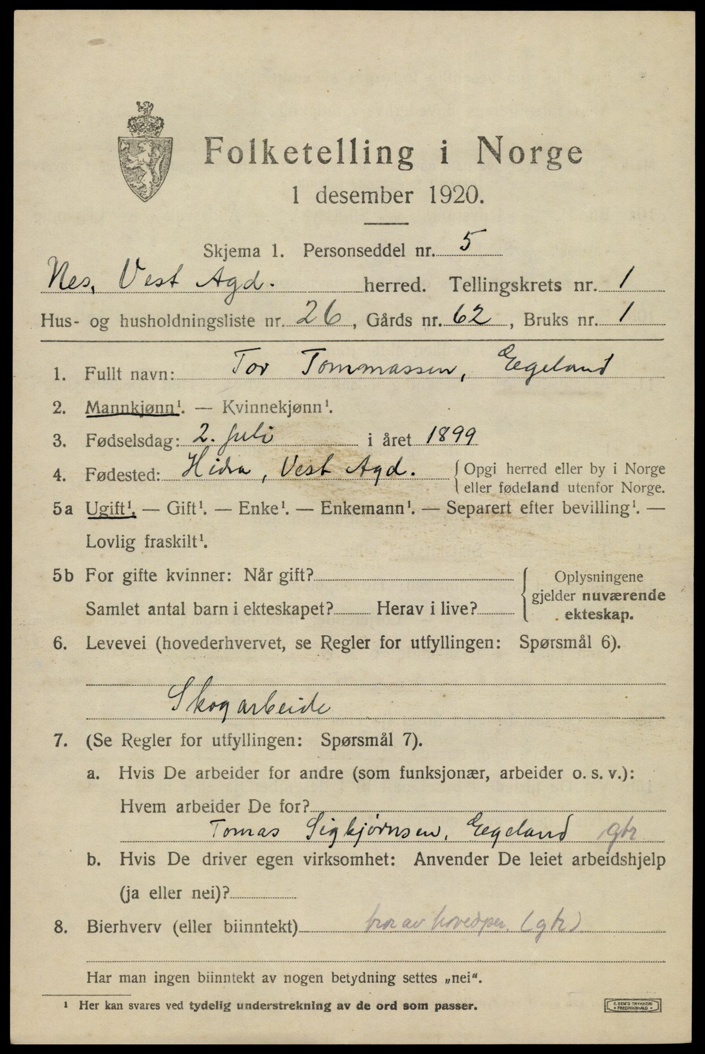 SAK, 1920 census for Nes (V-A), 1920, p. 1382