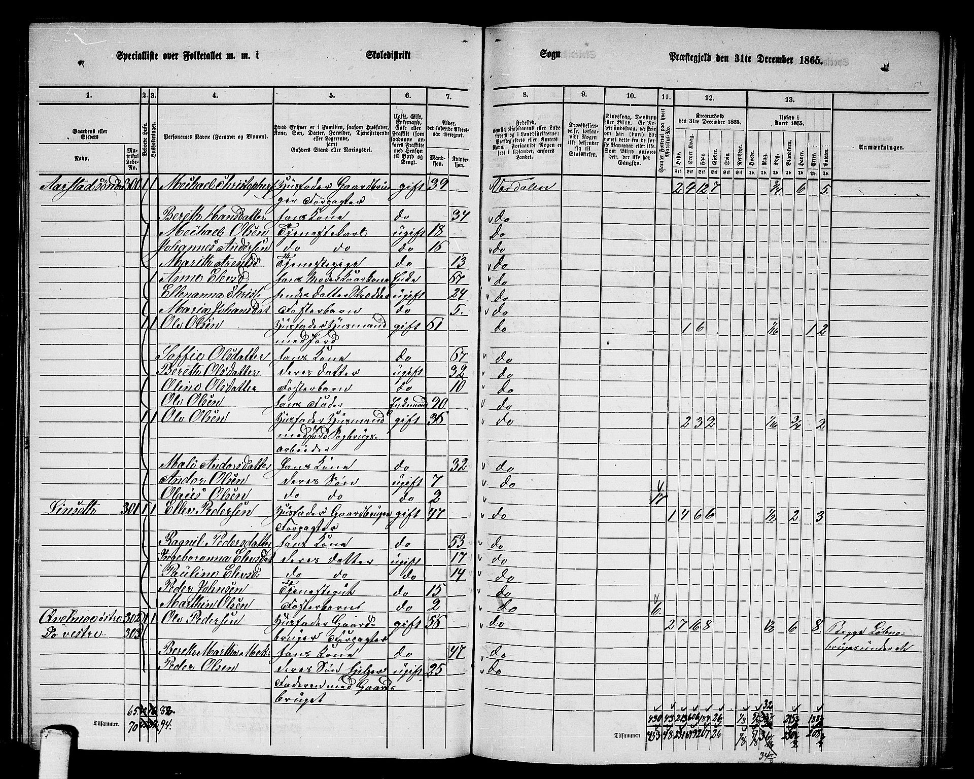 RA, 1865 census for Verdal, 1865, p. 234